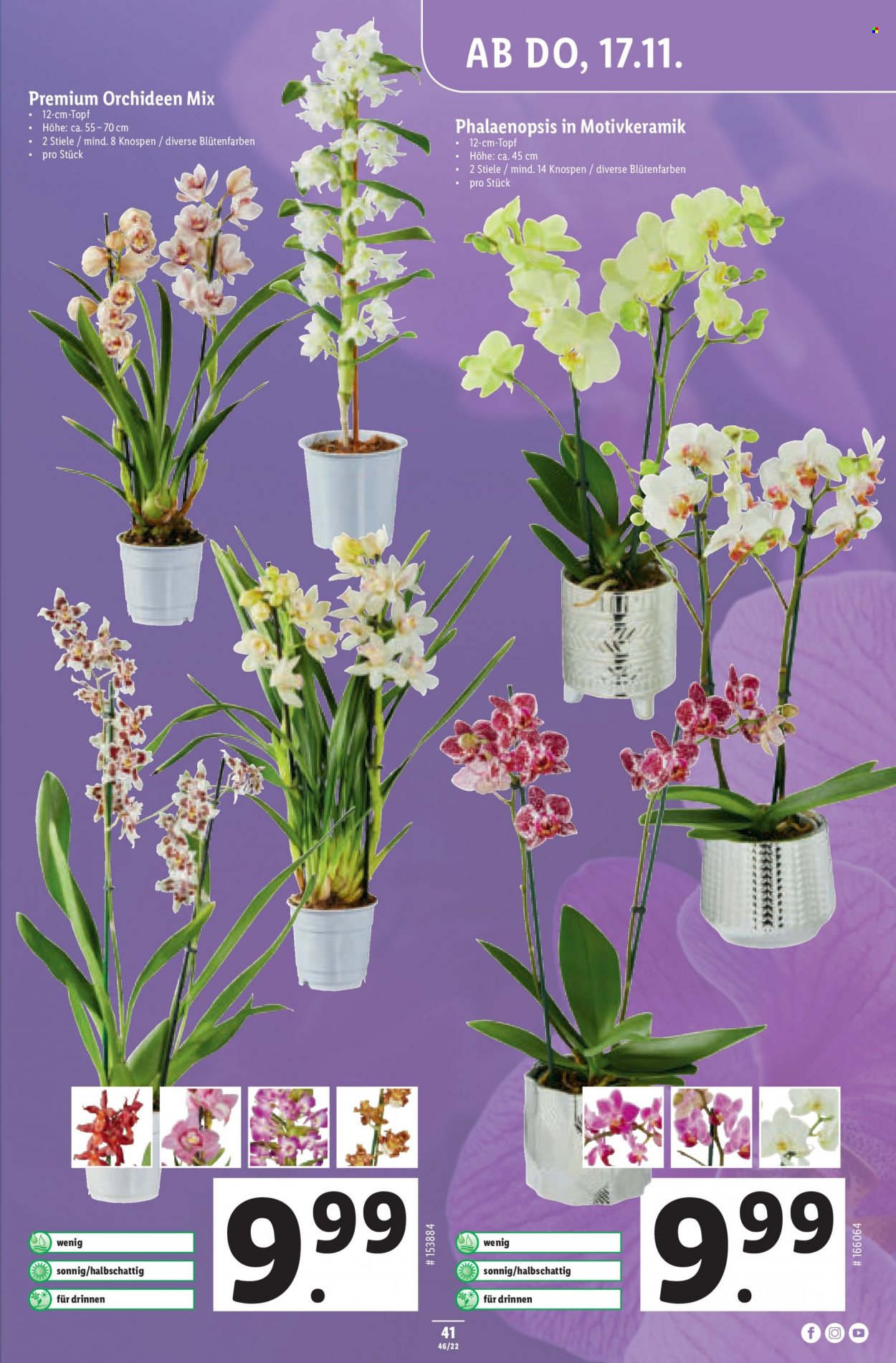 Volantino Lidl - 17.11.2022 - 23.11.2022. Pagina 41