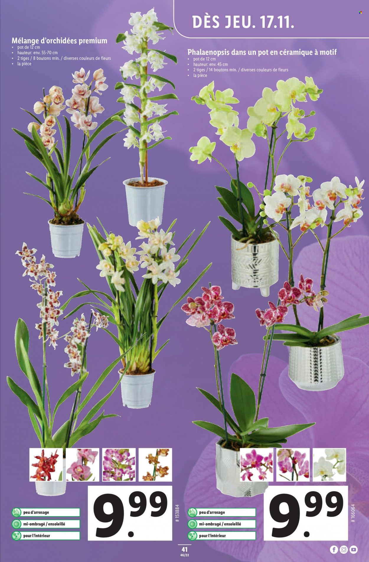 Volantino Lidl - 17.11.2022 - 23.11.2022. Pagina 41