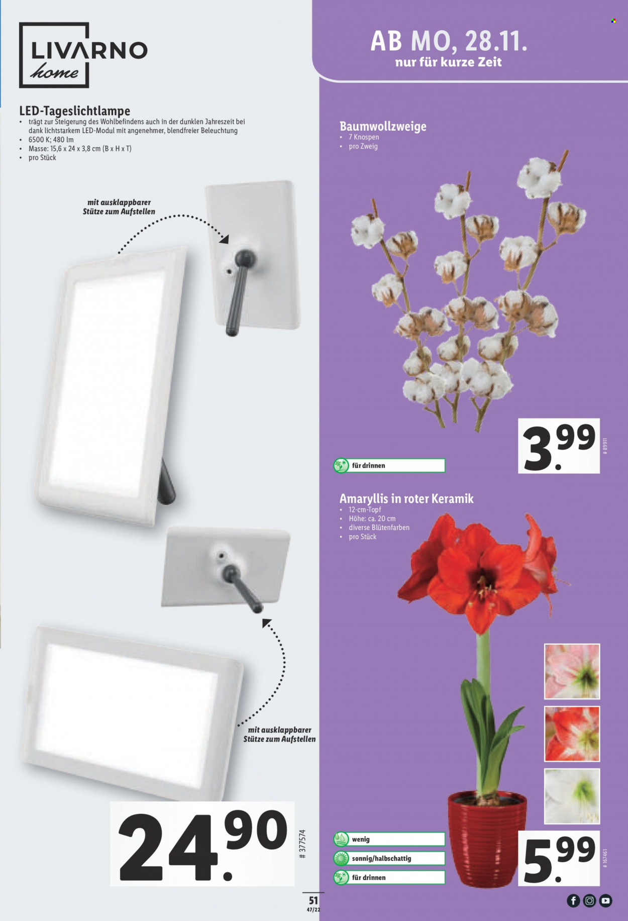 Volantino Lidl - 24.11.2022 - 30.11.2022. Pagina 51