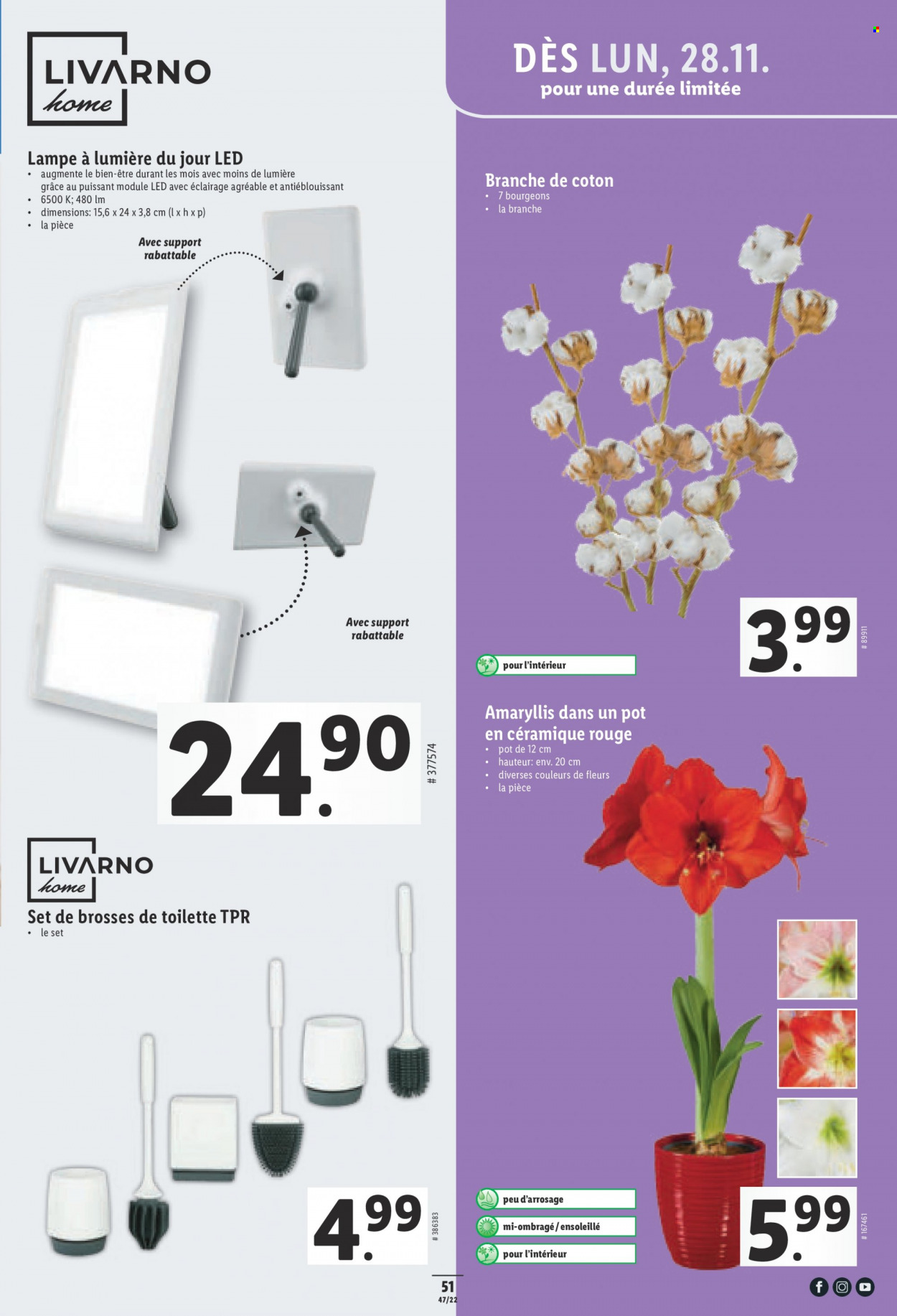 Catalogue Lidl - 24.11.2022 - 30.11.2022. Page 51