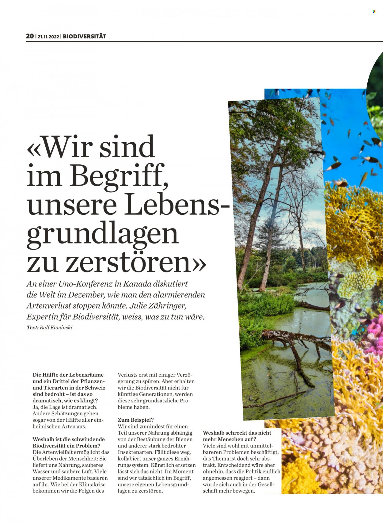 Prospekt Migros - 21.11.2022 - 27.11.2022. Seite 20