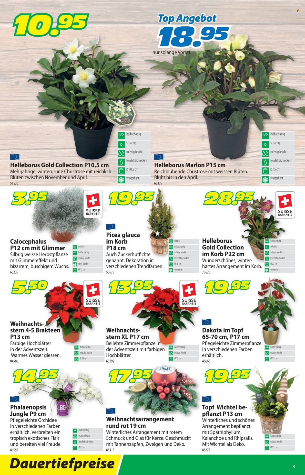Prospekt Landi - 28.11.2022 - 10.12.2022. Seite 12
