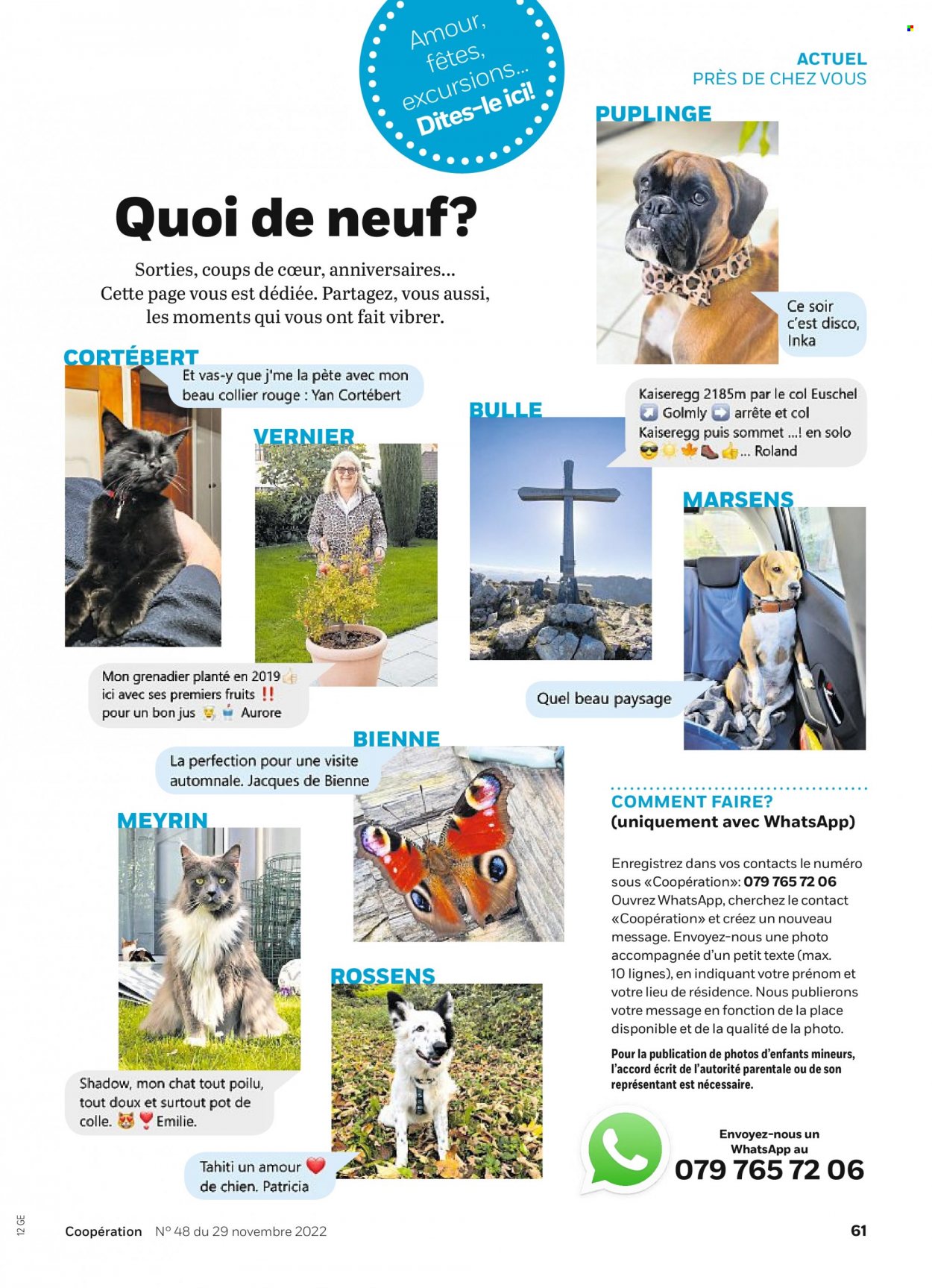 Volantino Coop - 29.11.2022 - 5.12.2022. Pagina 61