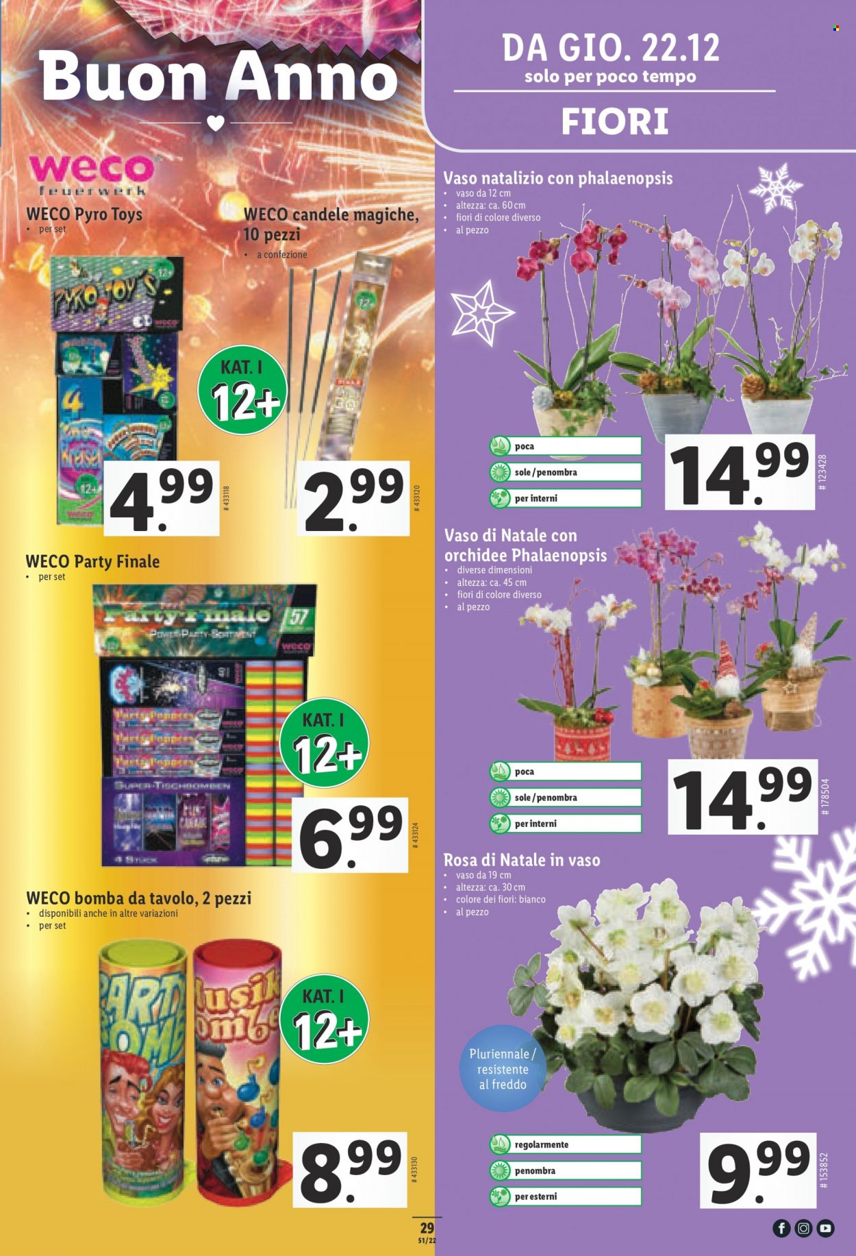 Prospekt Lidl - 22.12.2022 - 28.12.2022. Seite 29