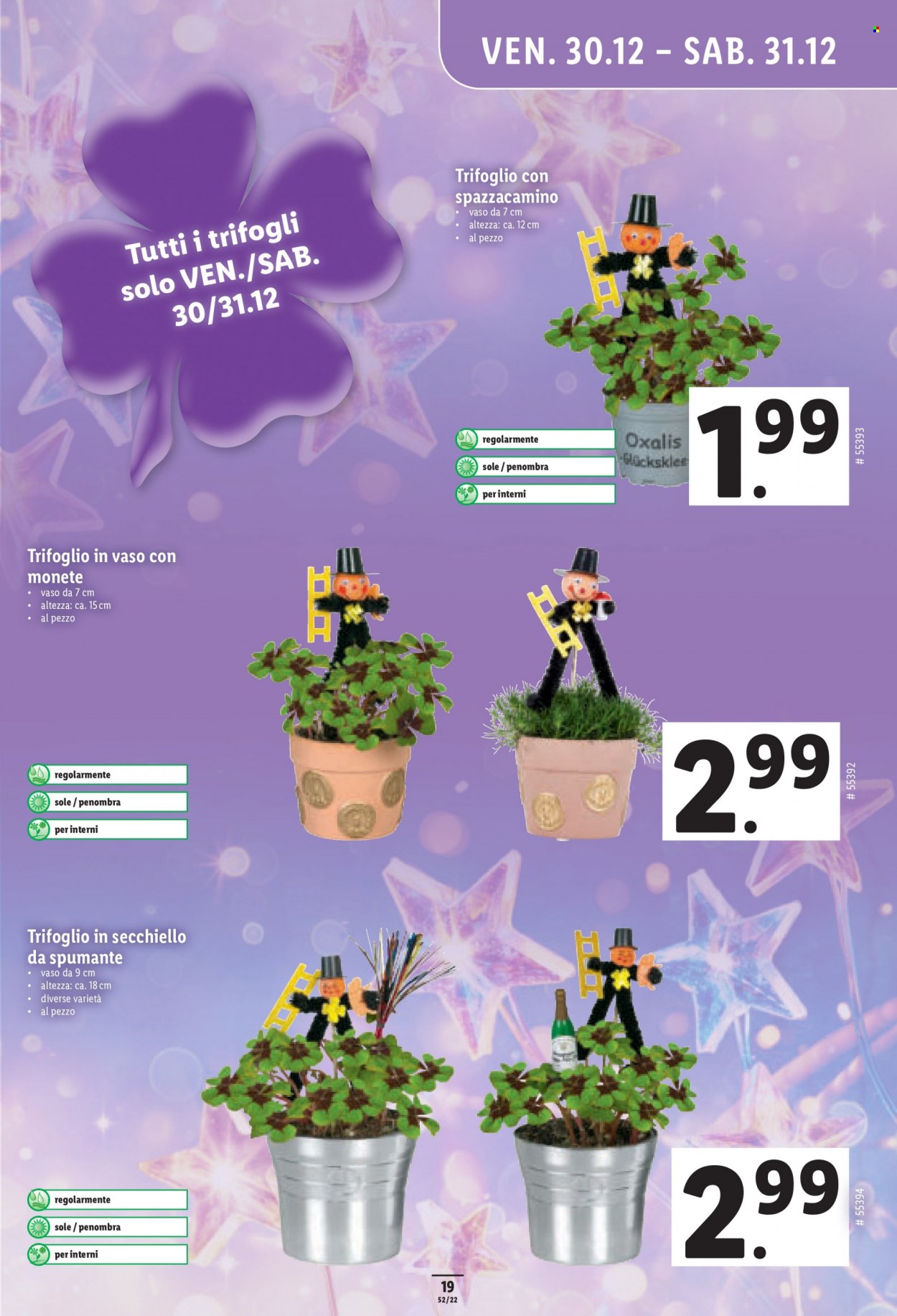 Prospekt Lidl - 29.12.2022 - 4.1.2023. Seite 19