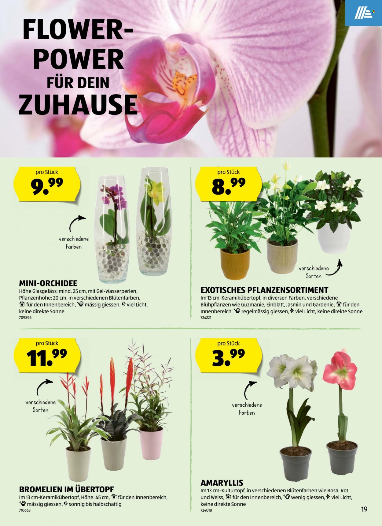 Volantino Aldi - 5.1.2023 - 11.1.2023. Pagina 19
