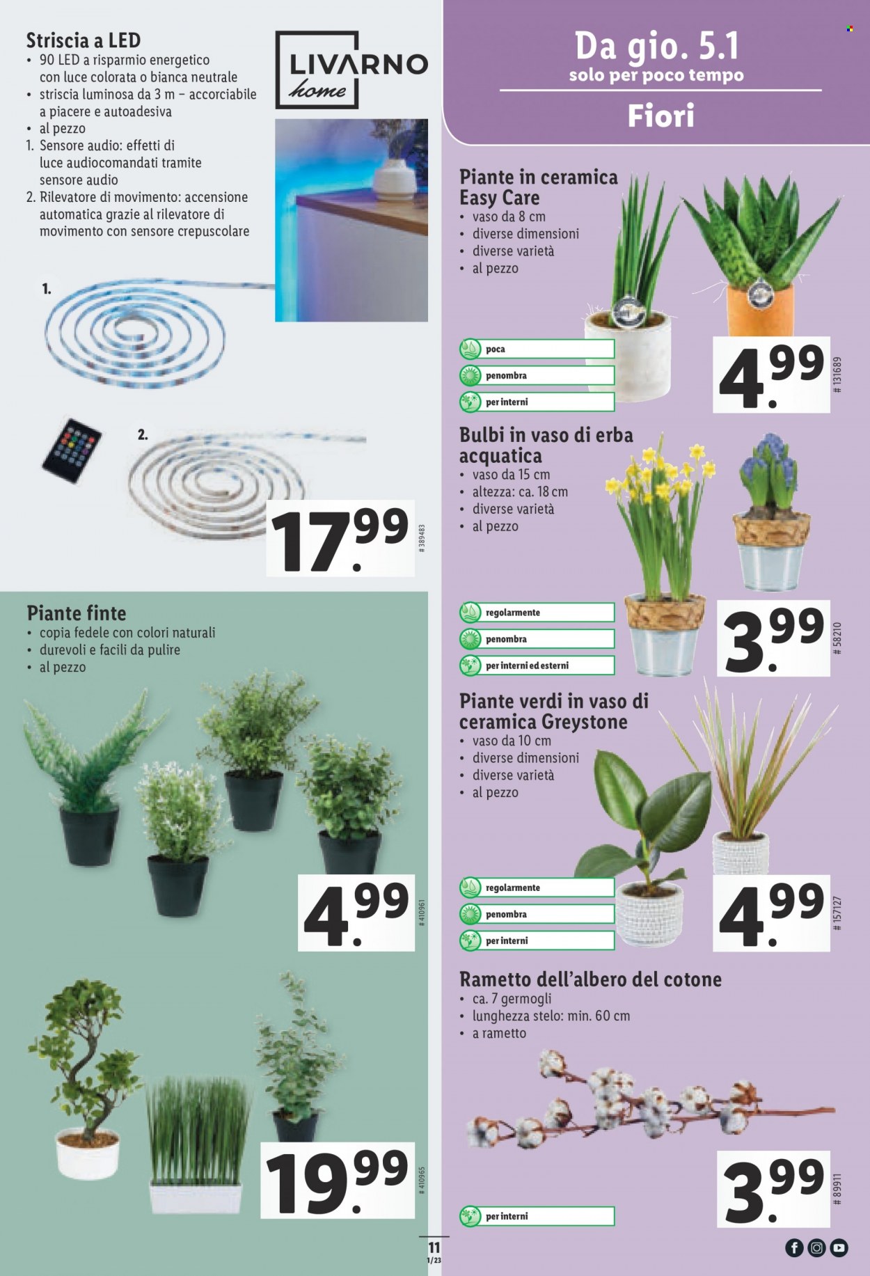 Catalogue Lidl - 5.1.2023 - 11.1.2023. Page 11