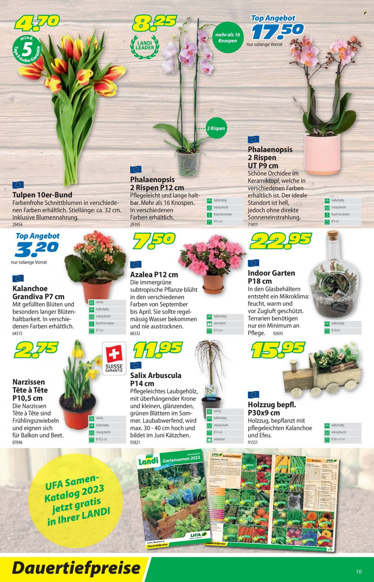 Volantino Landi - 9.1.2023 - 21.1.2023. Pagina 10