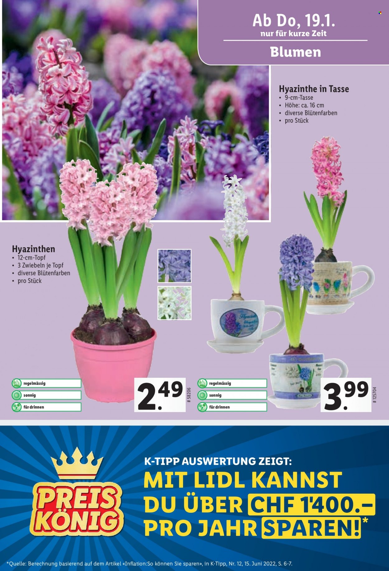 Volantino Lidl - 19.1.2023 - 25.1.2023. Pagina 17