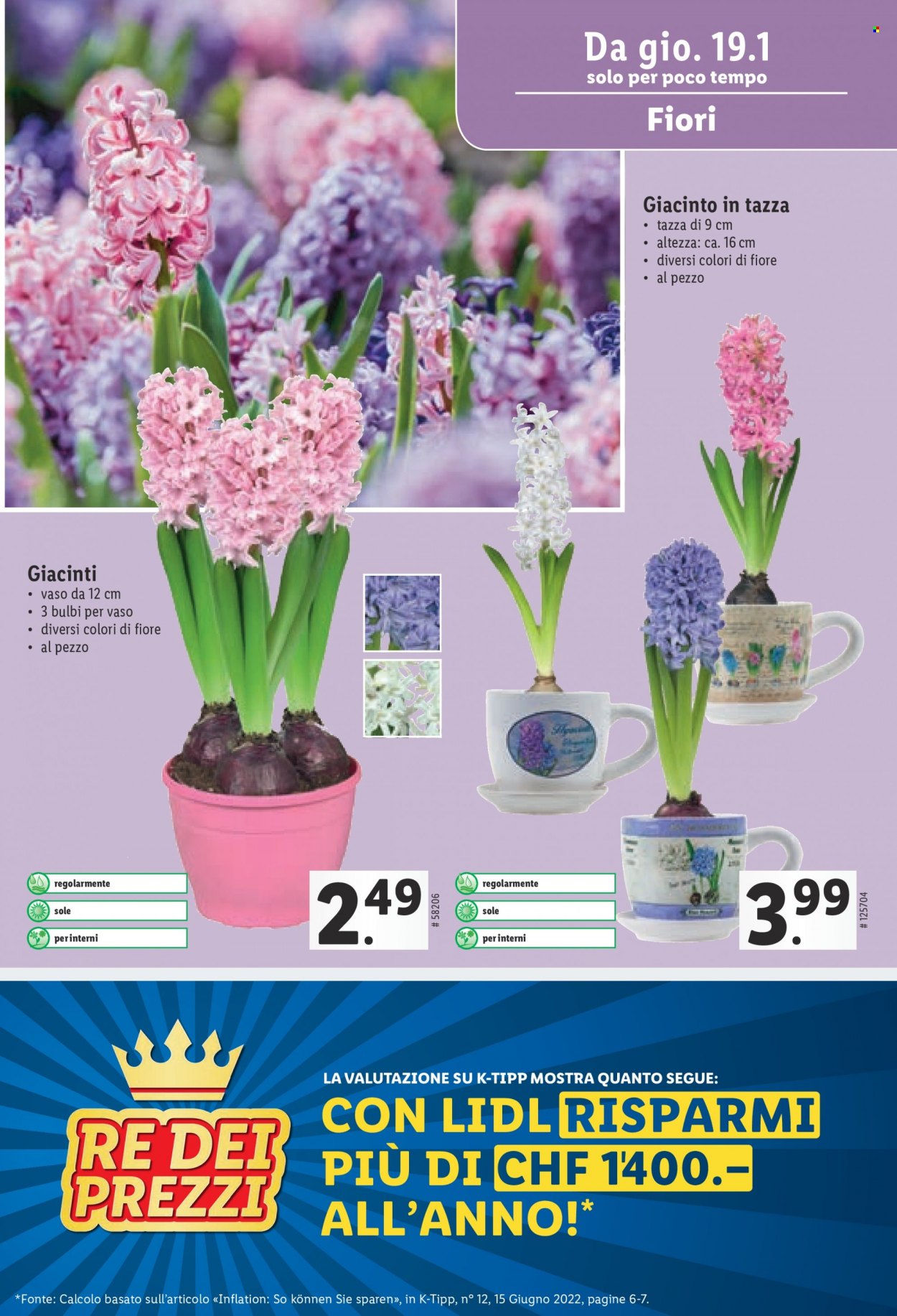Catalogue Lidl - 19.1.2023 - 25.1.2023. Page 17