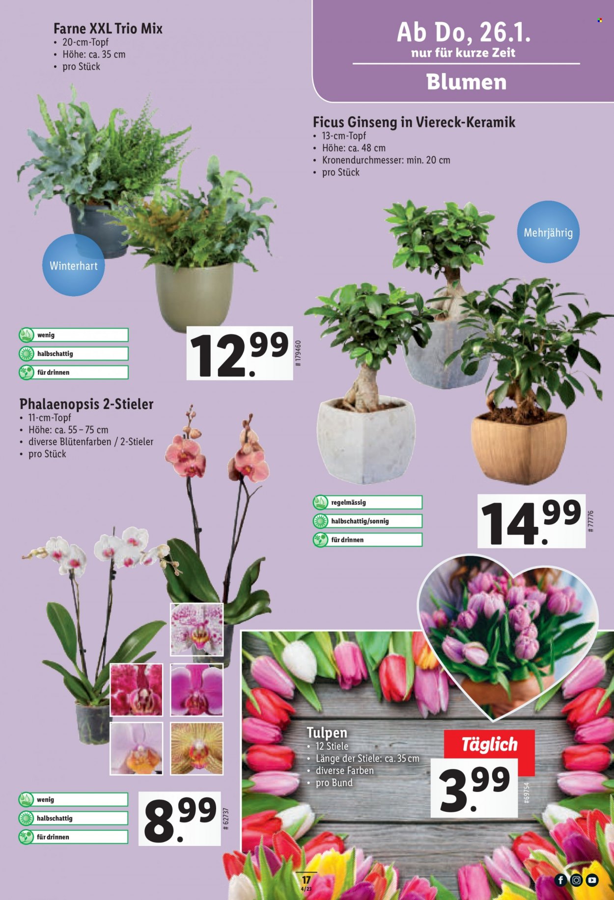 Volantino Lidl - 26.1.2023 - 1.2.2023. Pagina 17