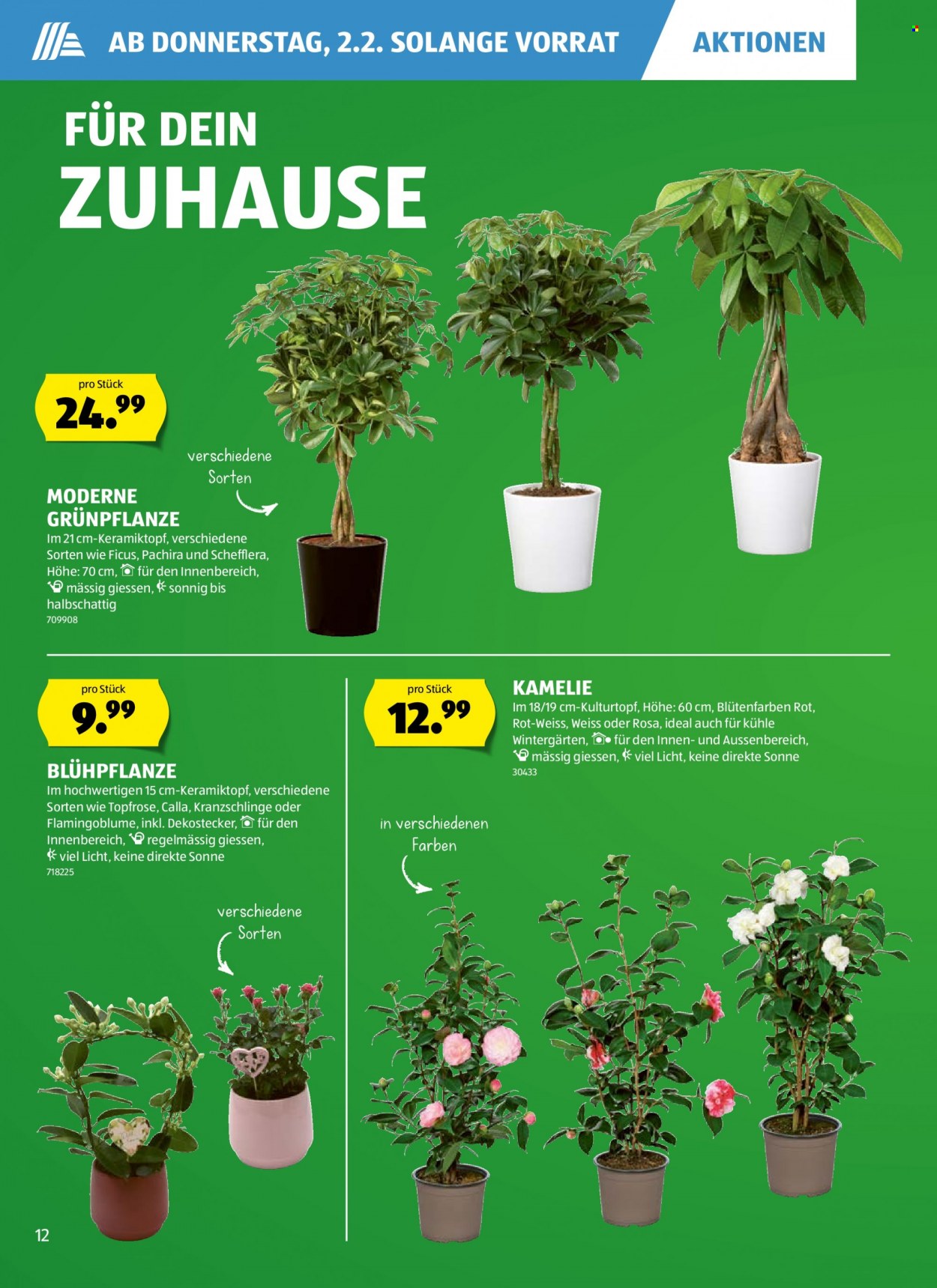 Catalogue Aldi - 2.2.2023 - 8.2.2023. Page 12
