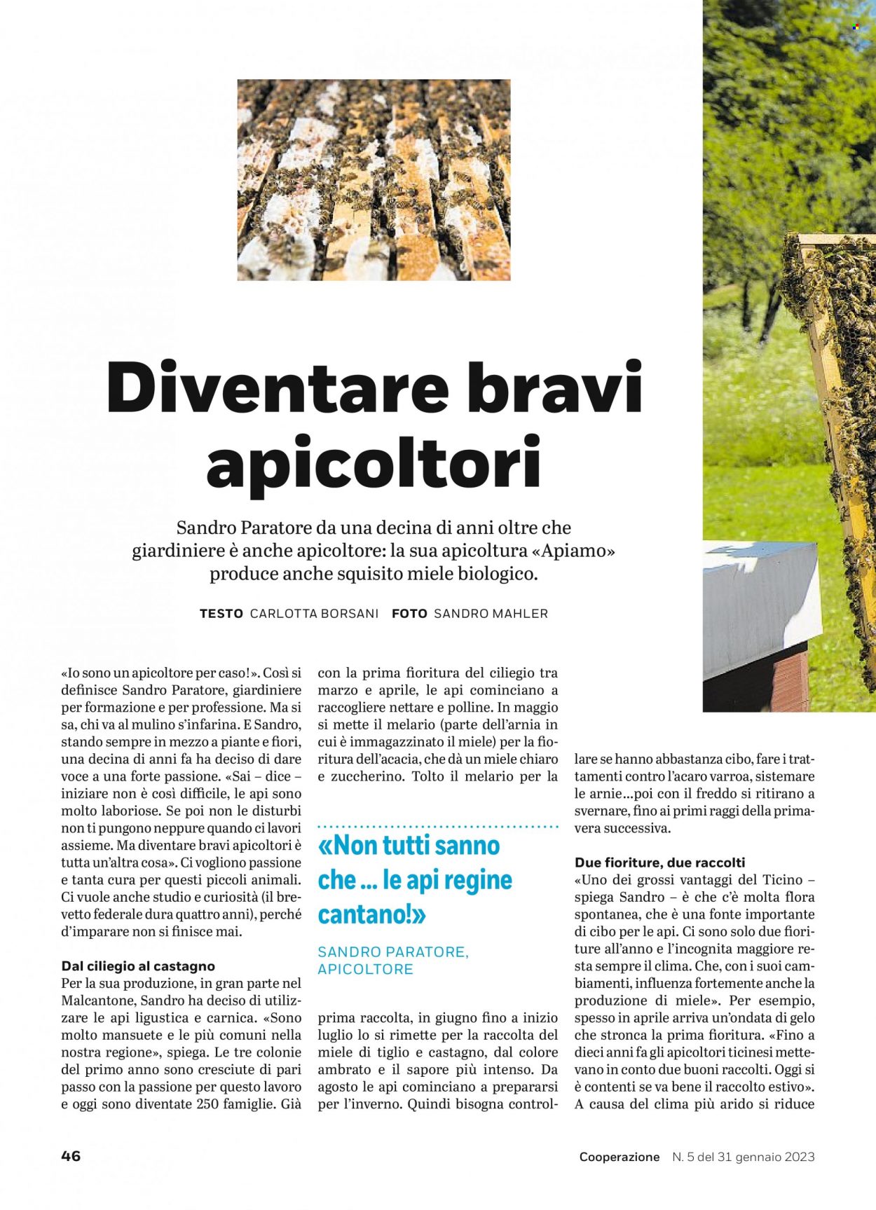 Catalogue Coop - 31.1.2023 - 6.2.2023. Page 46