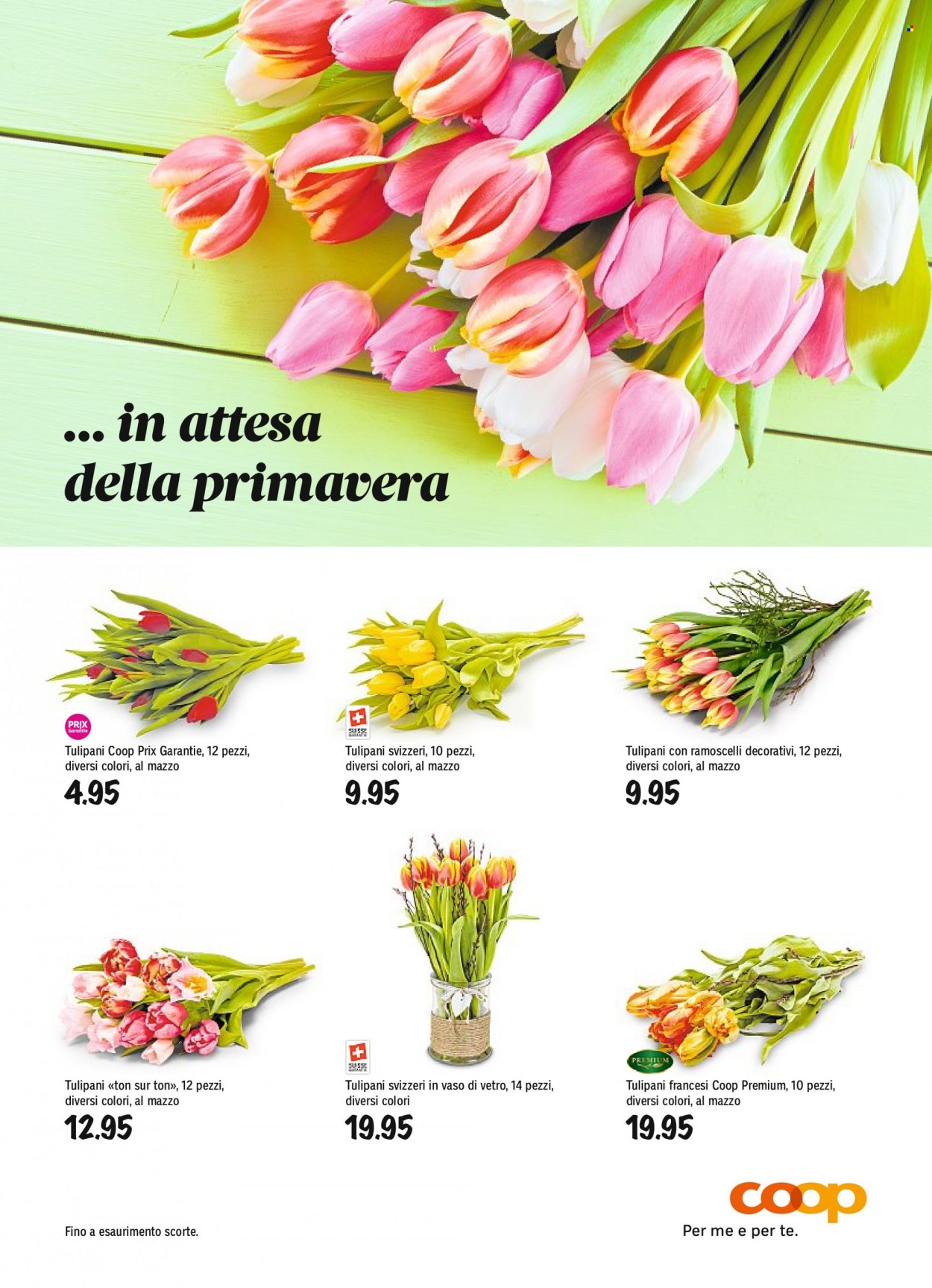 Catalogue Coop - 31.1.2023 - 6.2.2023. Page 50