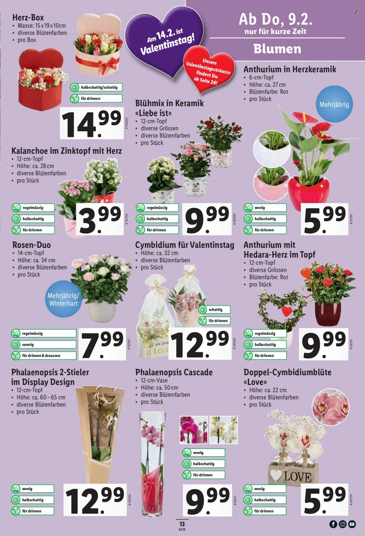 Catalogue Lidl - 9.2.2023 - 15.2.2023. Page 13