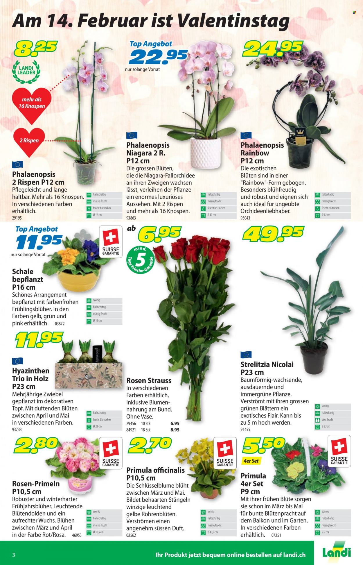 Volantino Landi - 6.2.2023 - 19.2.2023. Pagina 3