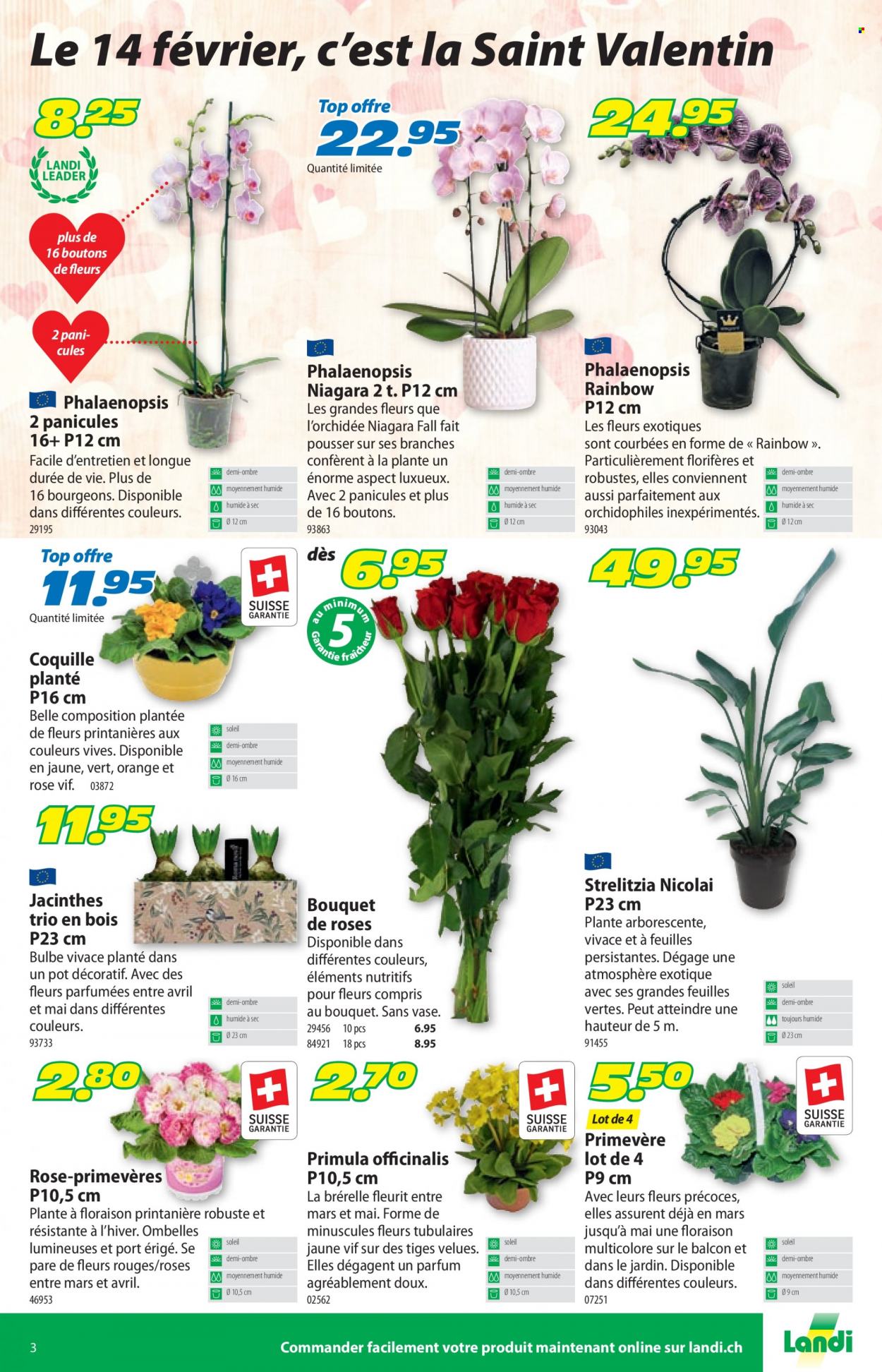 Volantino Landi - 6.2.2023 - 19.2.2023. Pagina 3