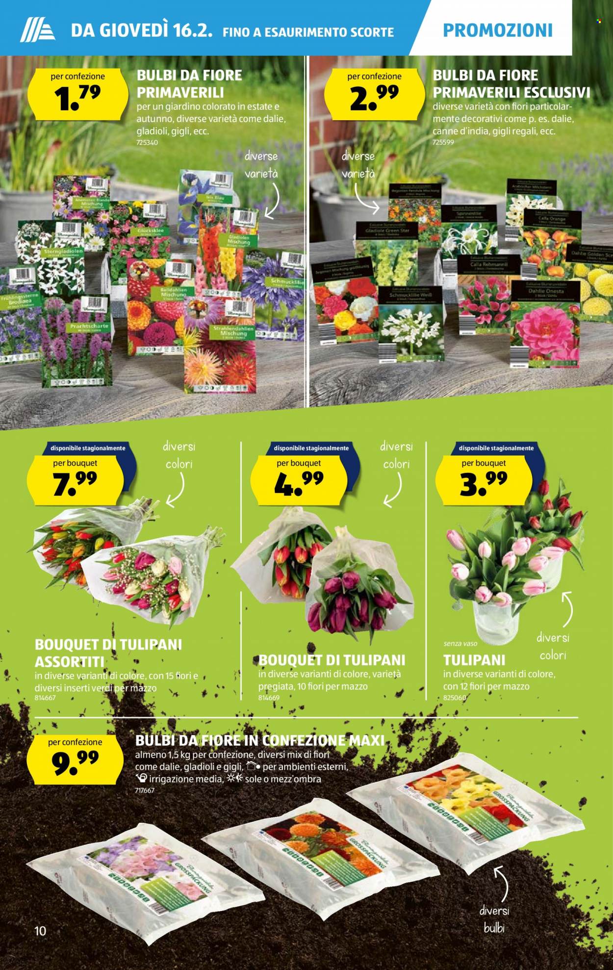 Catalogue Aldi - 16.2.2023 - 22.2.2023. Page 10