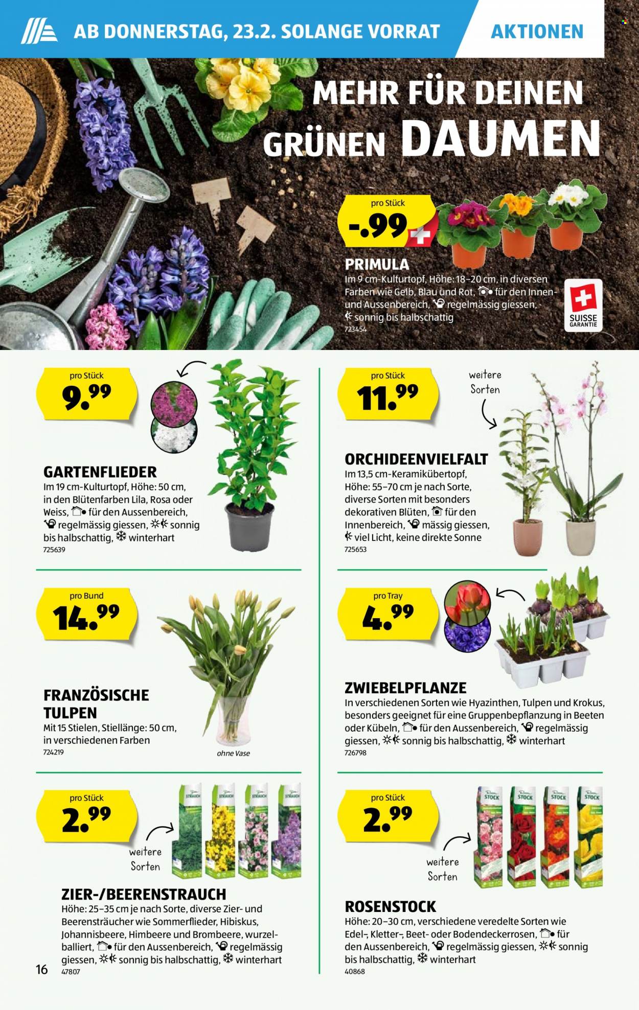 Catalogue Aldi - 23.2.2023 - 1.3.2023. Page 16