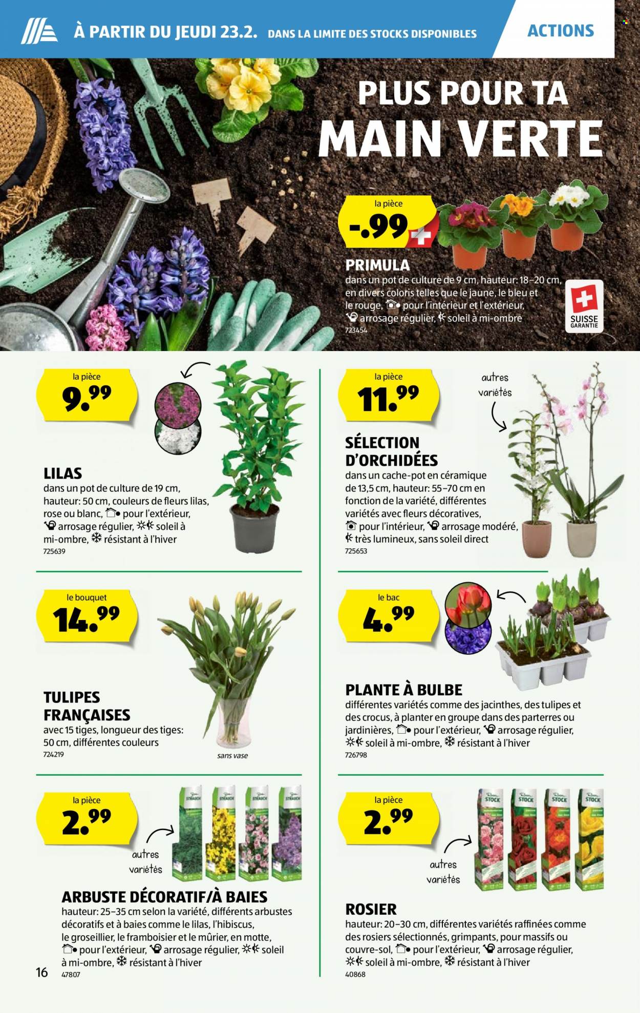 Volantino Aldi - 23.2.2023 - 1.3.2023. Pagina 16