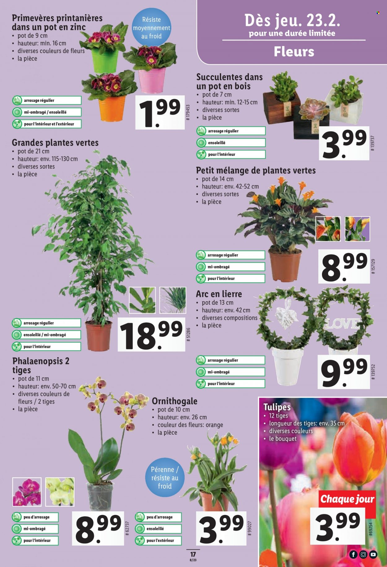 Volantino Lidl - 23.2.2023 - 1.3.2023. Pagina 17