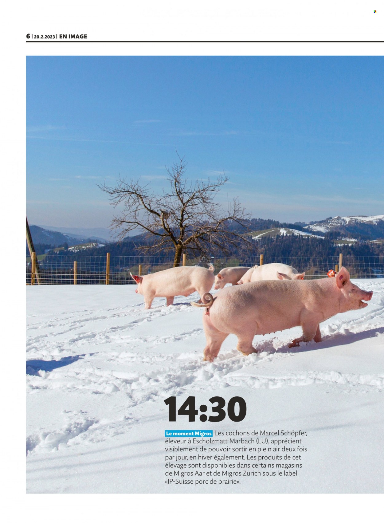 Prospekt Migros - 20.2.2023 - 26.2.2023. Seite 6