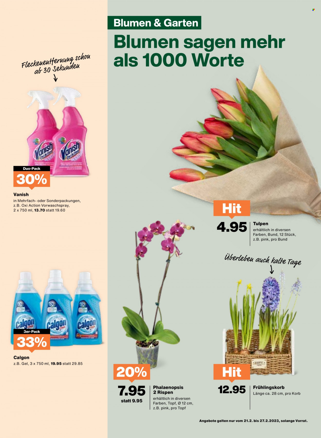 Volantino Migros - 21.2.2023 - 27.2.2023. Pagina 19