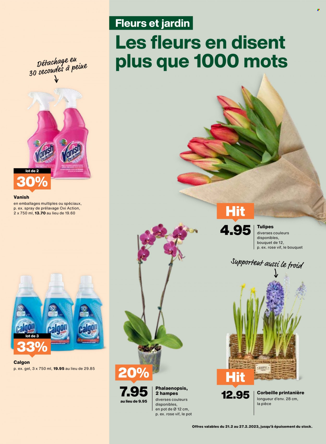 Volantino Migros - 21.2.2023 - 27.2.2023. Pagina 19