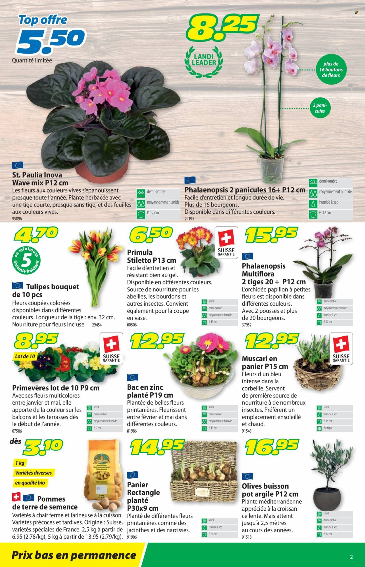 Volantino Landi - 20.2.2023 - 5.3.2023. Pagina 2