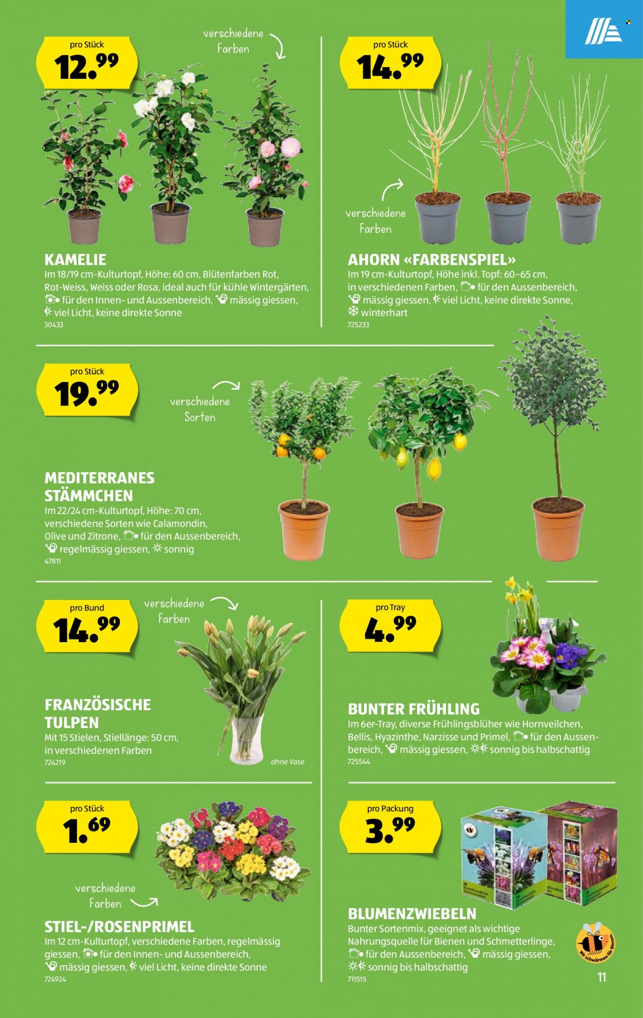 Catalogue Aldi - 2.3.2023 - 8.3.2023. Page 11