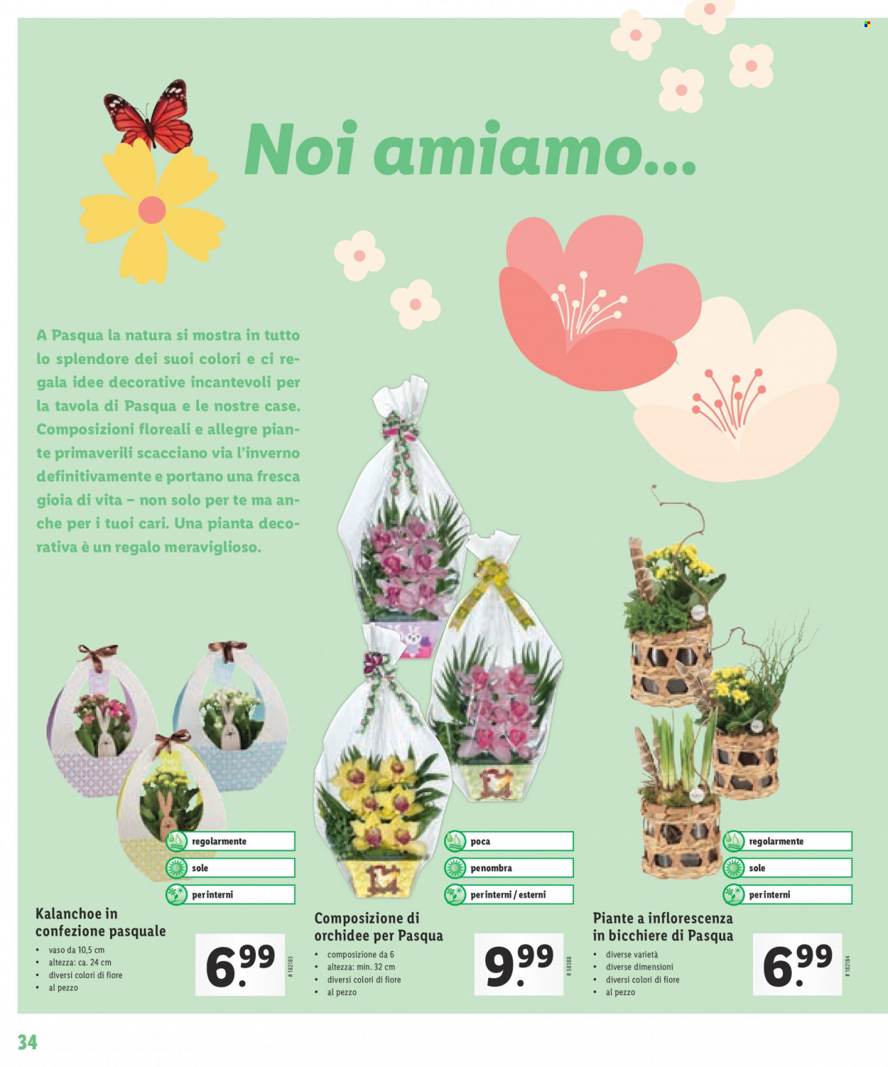 Volantino Lidl. Pagina 34
