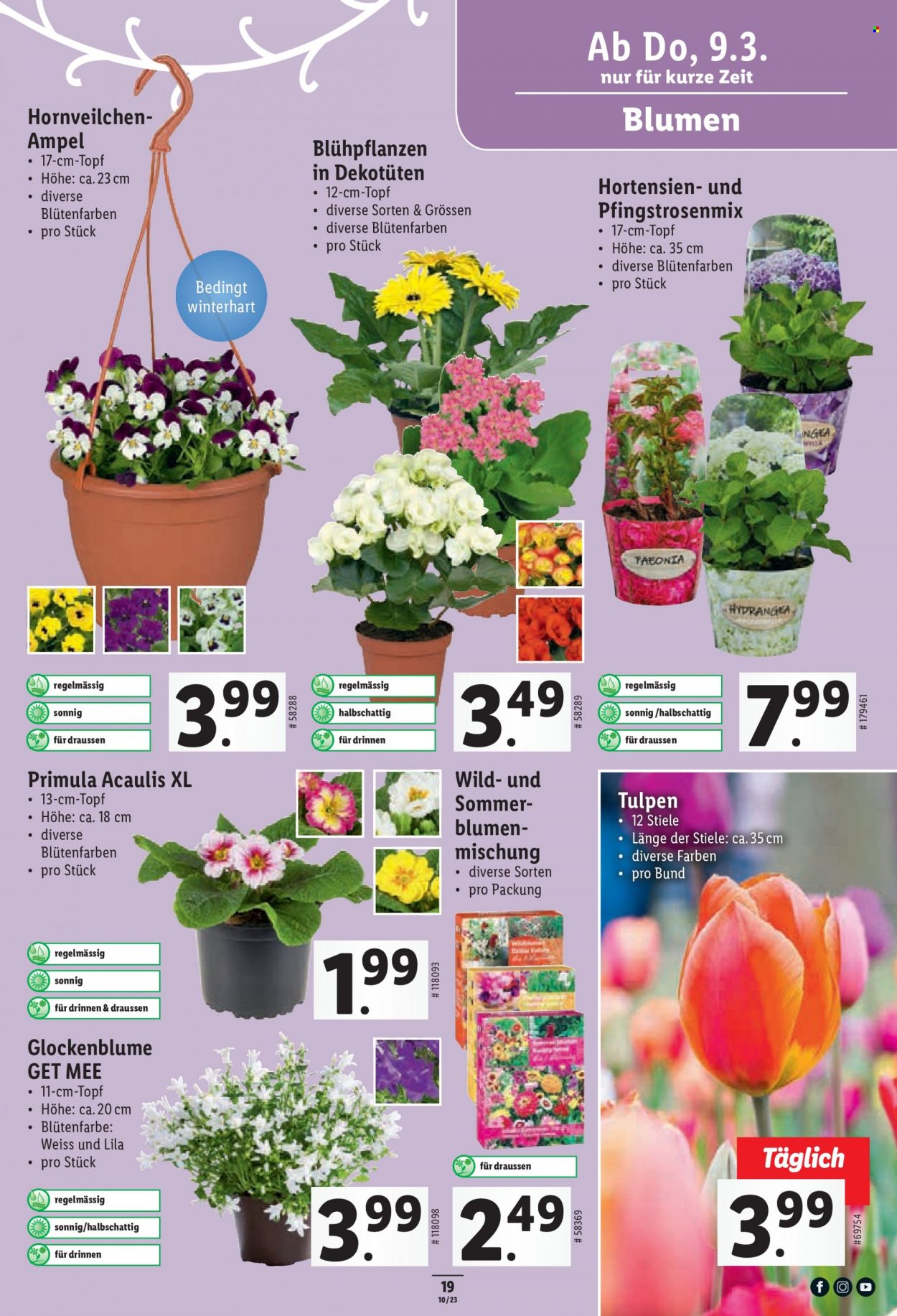 Volantino Lidl - 9.3.2023 - 15.3.2023. Pagina 19
