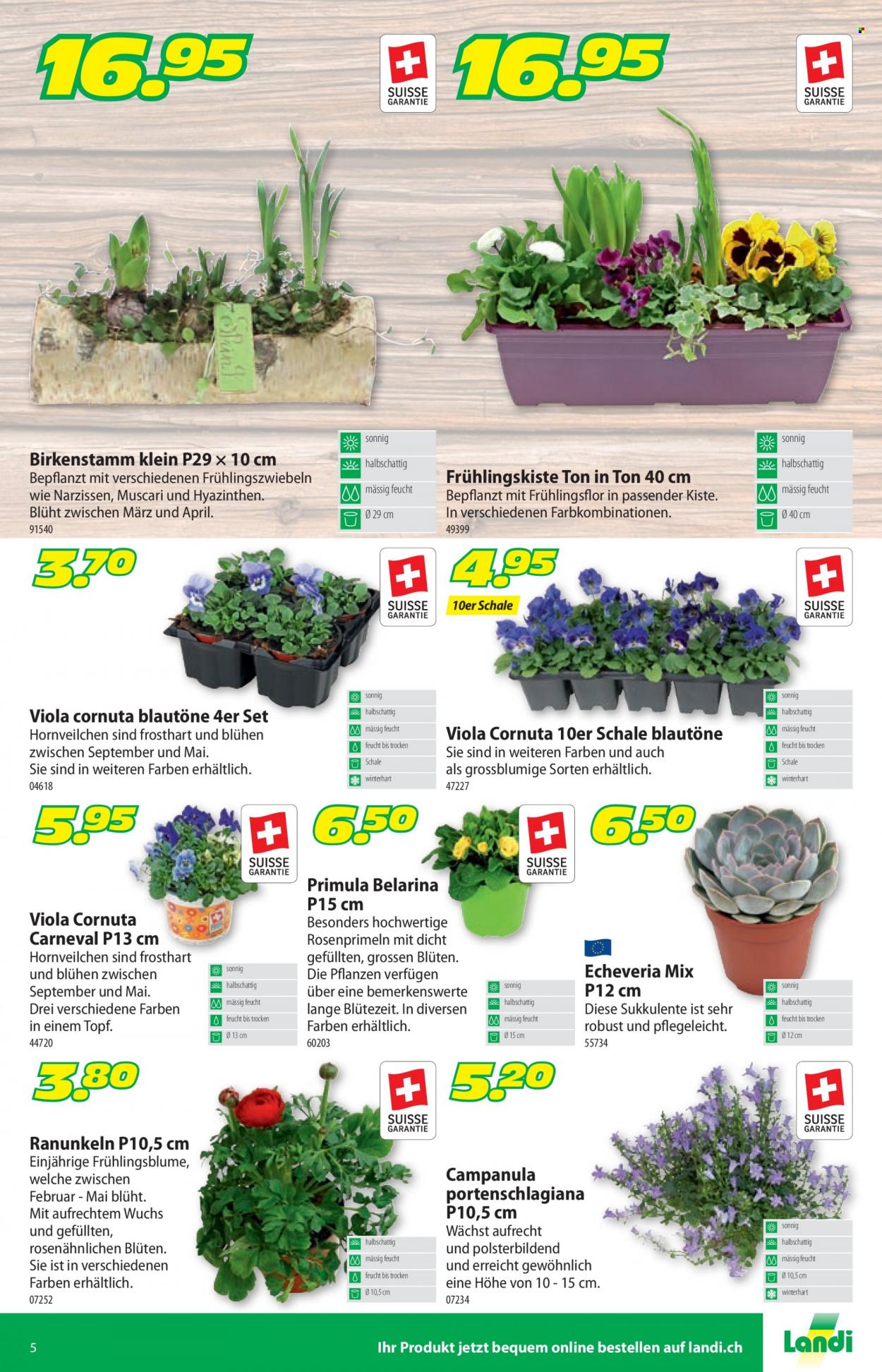 Volantino Landi - 6.3.2023 - 19.3.2023. Pagina 5