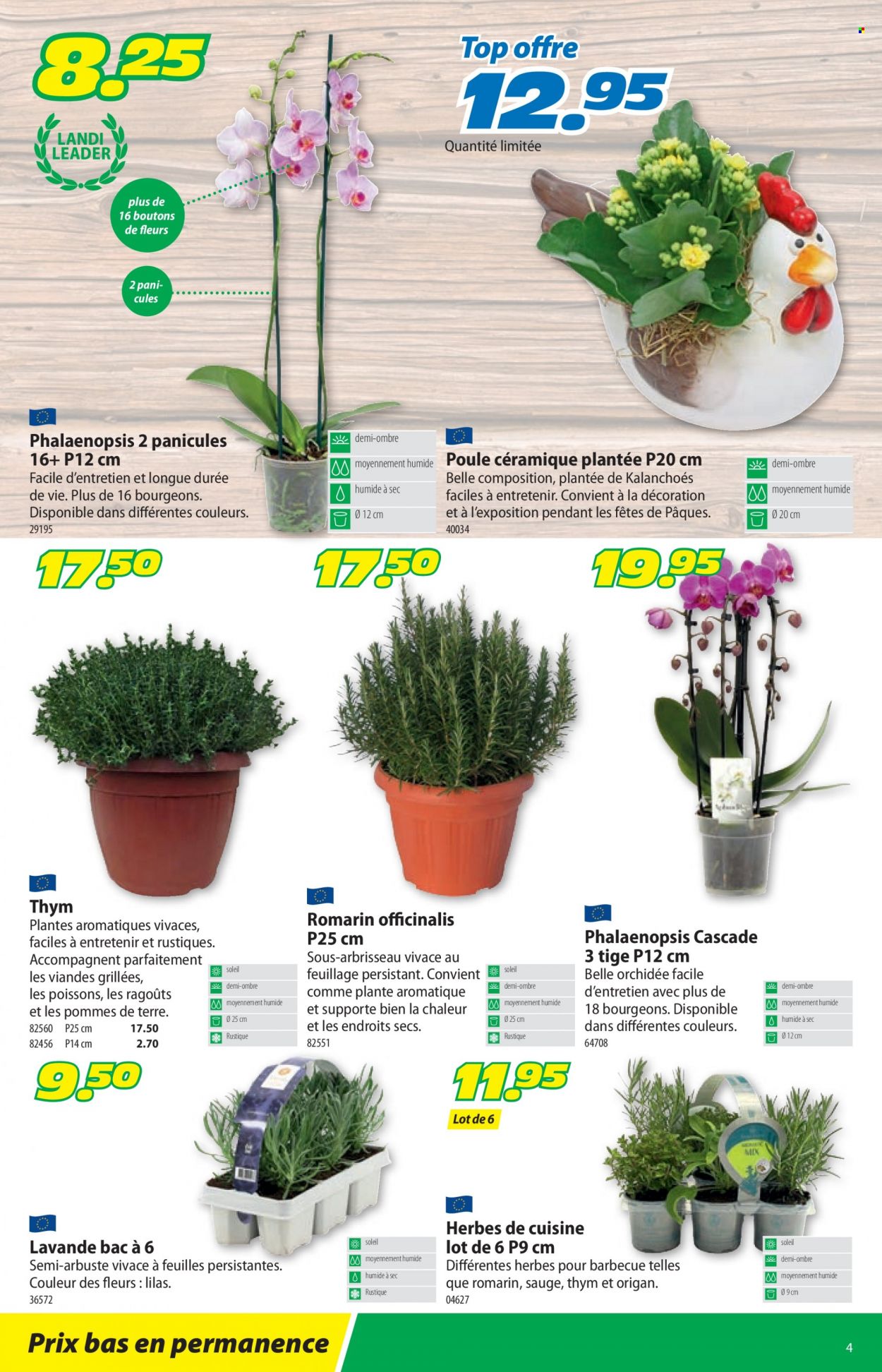 Volantino Landi - 6.3.2023 - 19.3.2023. Pagina 4