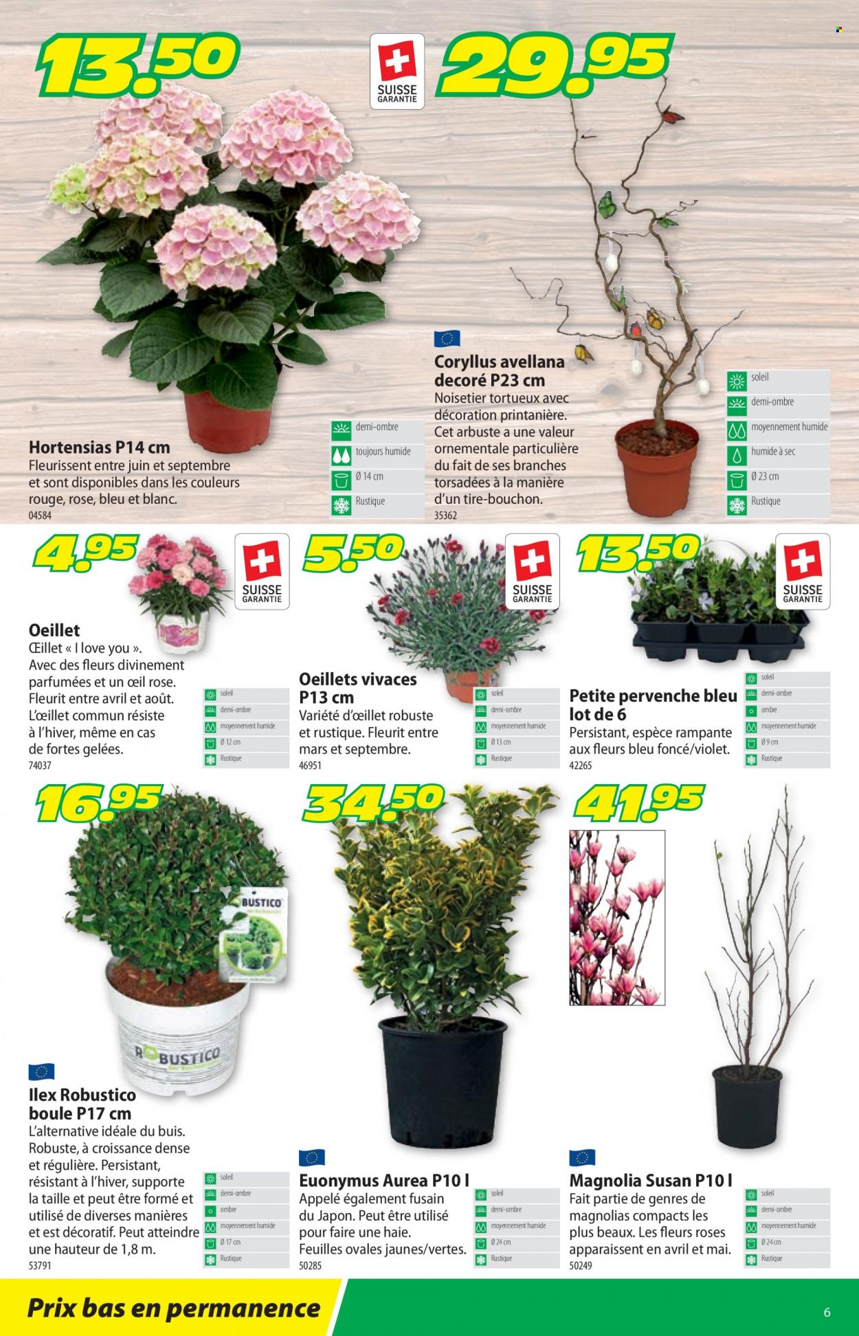 Volantino Landi - 6.3.2023 - 19.3.2023. Pagina 6
