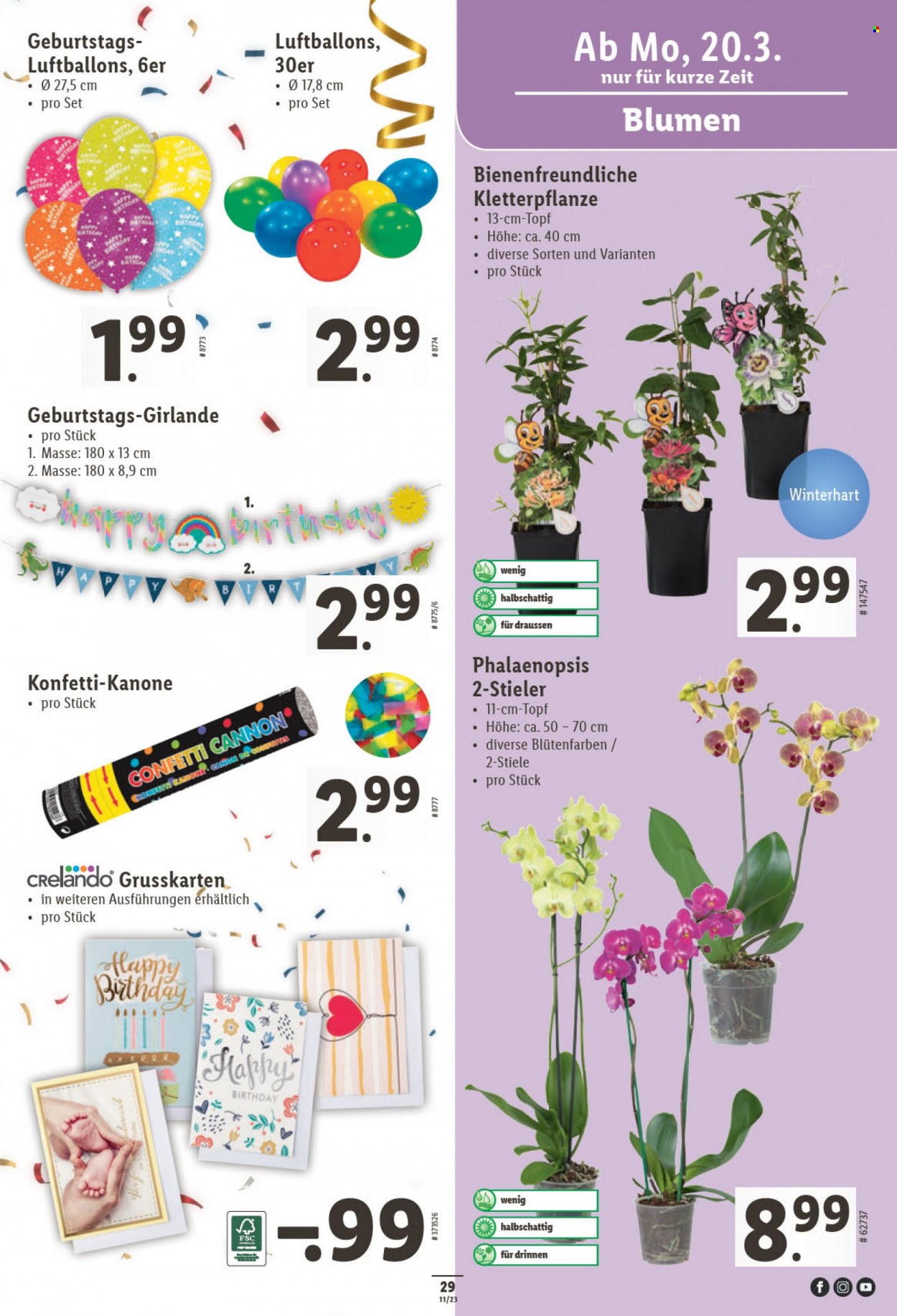 Volantino Lidl - 16.3.2023 - 22.3.2023. Pagina 29