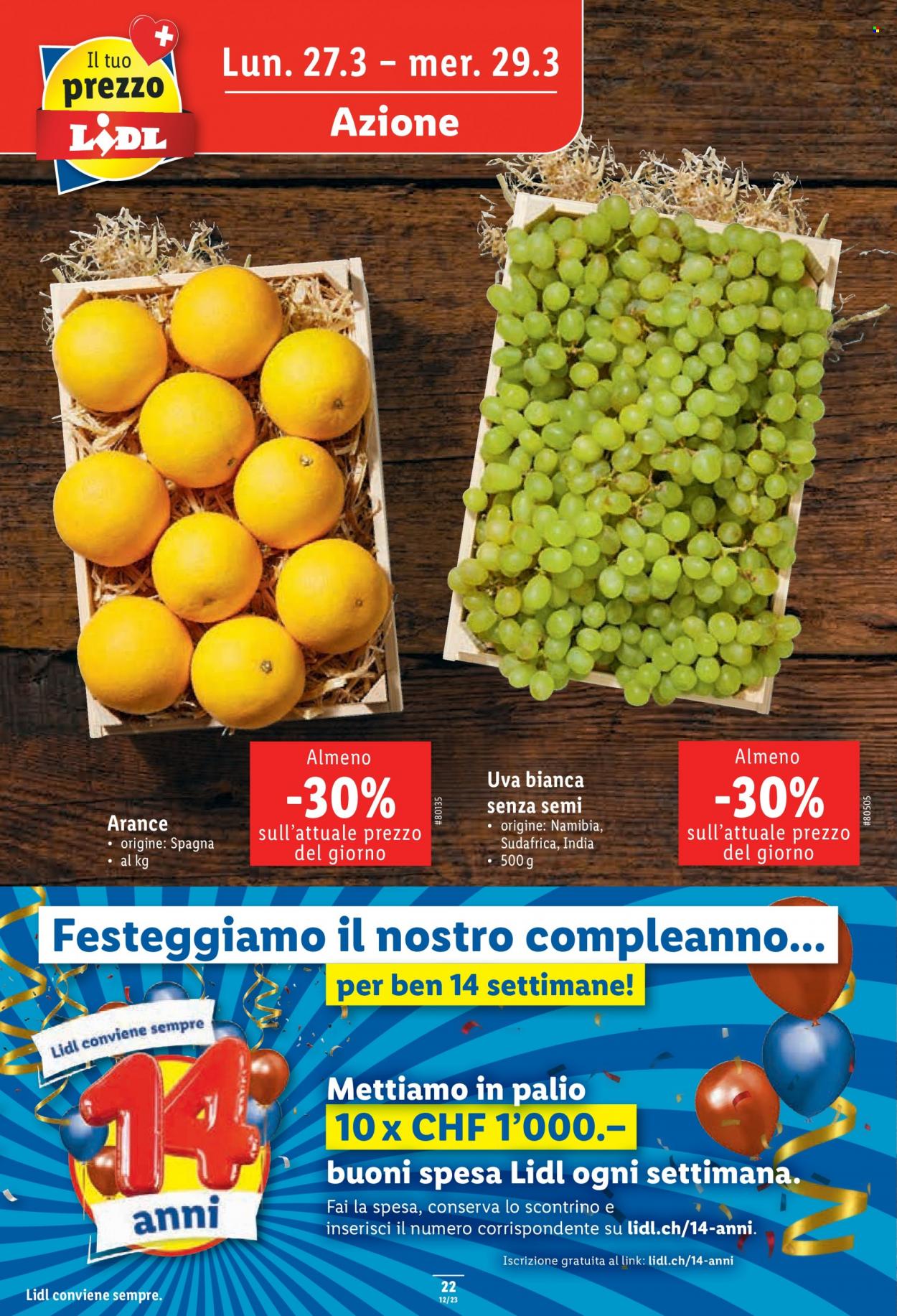 Volantino Lidl - 23.3.2023 - 29.3.2023. Pagina 22