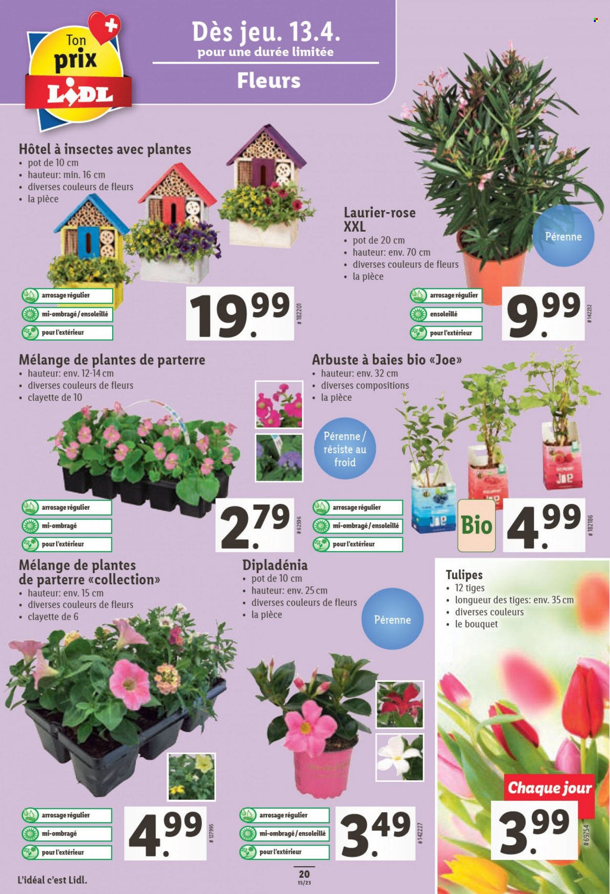 Prospekt Lidl - 13.4.2023 - 19.4.2023. Seite 20