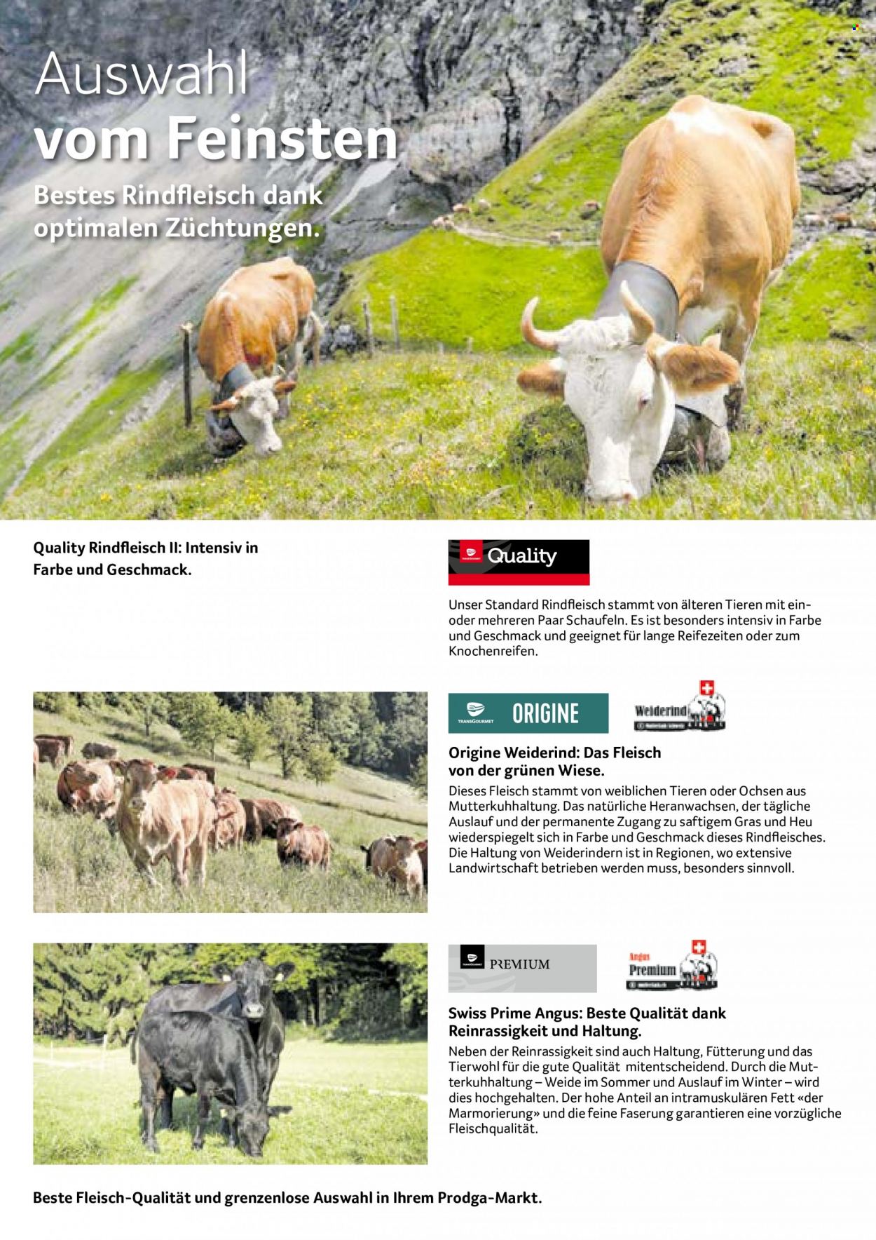 Volantino Prodega - 17.4.2023 - 22.4.2023. Pagina 6