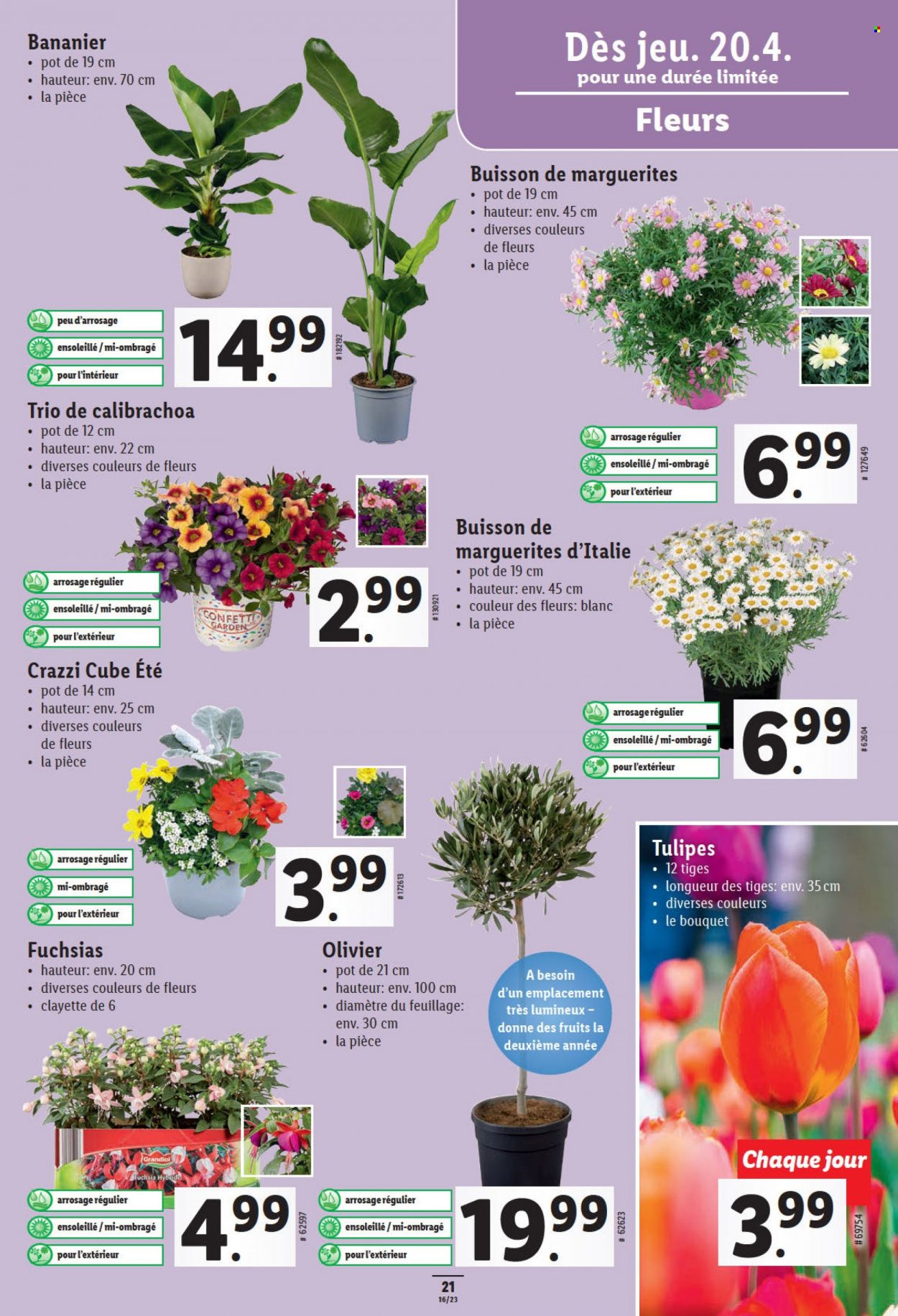 Volantino Lidl - 20.4.2023 - 26.4.2023. Pagina 21