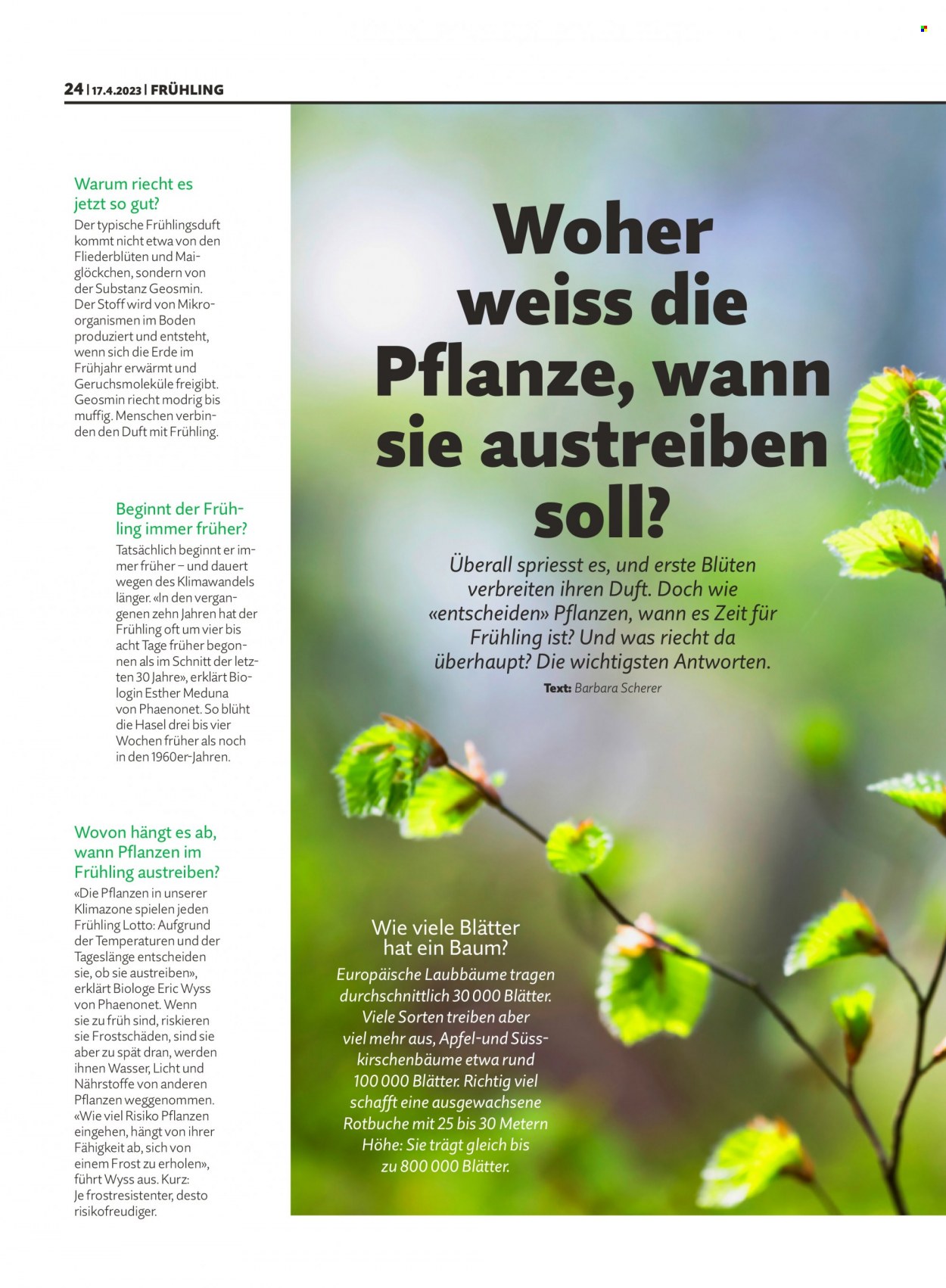 Volantino Migros - 17.4.2023 - 23.4.2023. Pagina 24