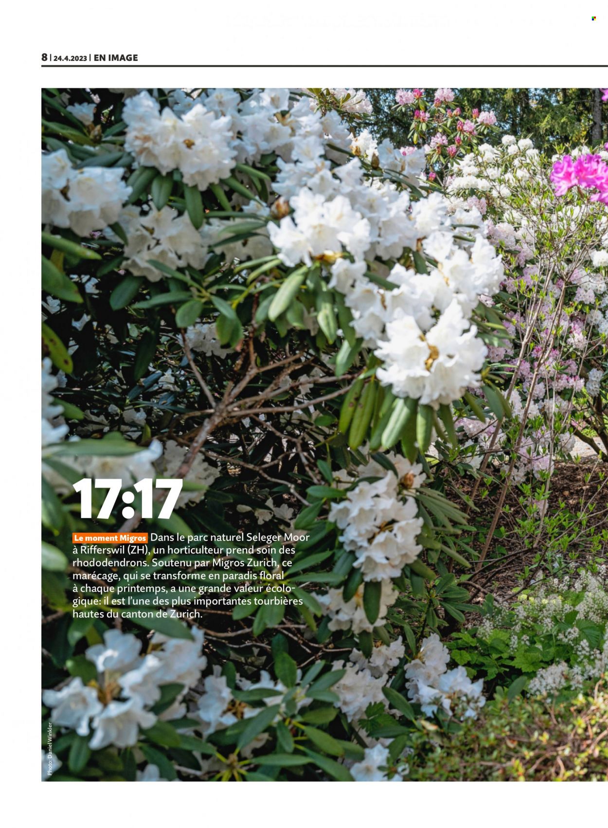 Volantino Migros - 24.4.2023 - 30.4.2023. Pagina 8
