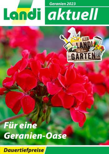 Volantino Landi - 1.5.2023 - 31.12.2023.