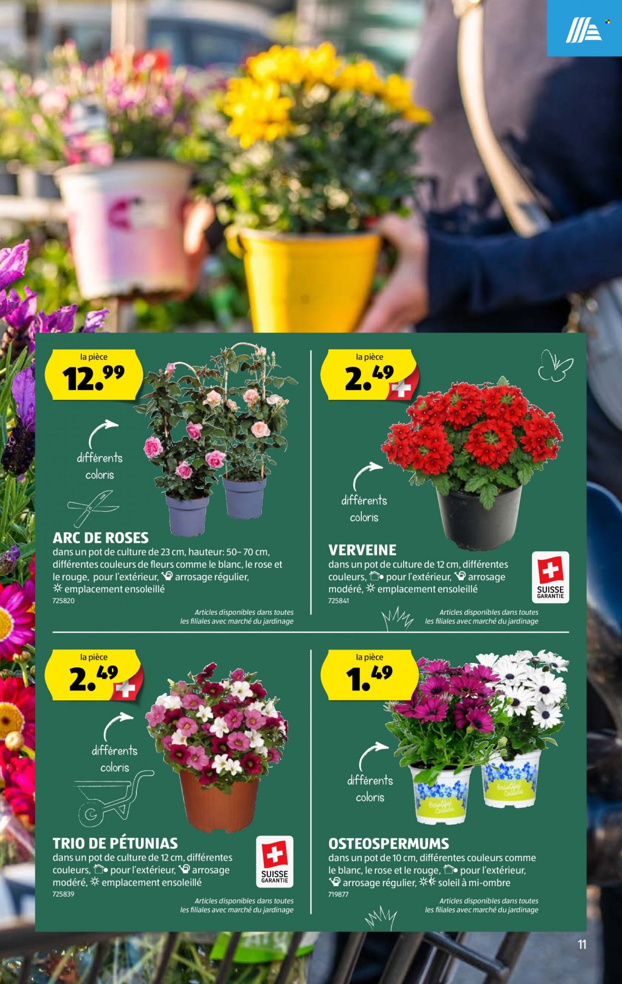 Volantino Aldi - 11.5.2023 - 16.5.2023. Pagina 11