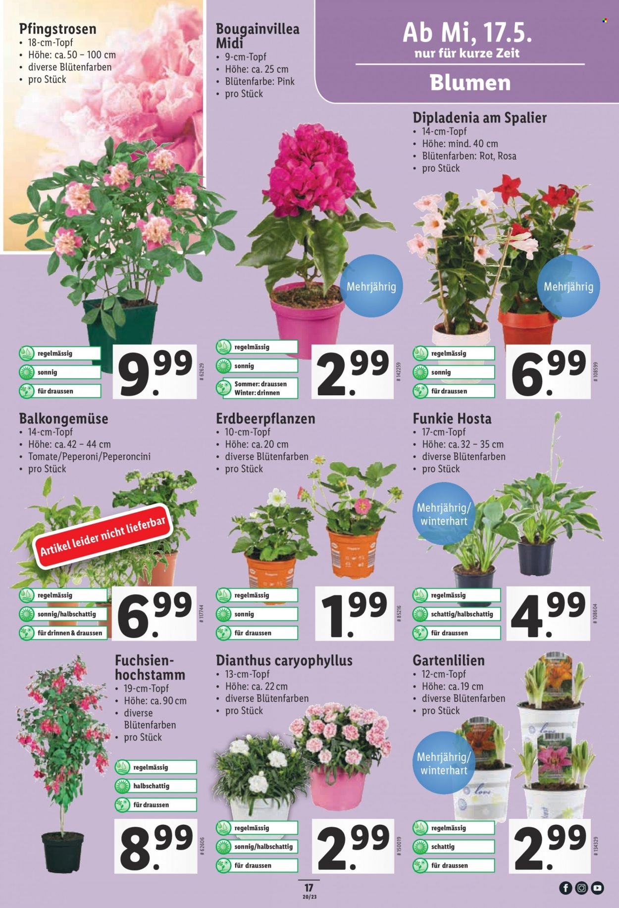 Volantino Lidl - 17.5.2023 - 24.5.2023. Pagina 17