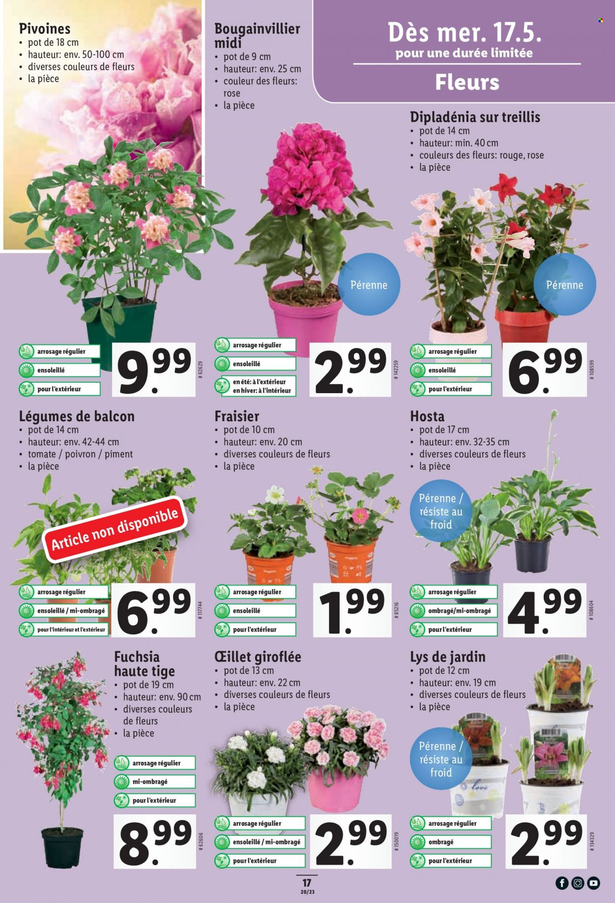 Catalogue Lidl - 17.5.2023 - 24.5.2023. Page 17