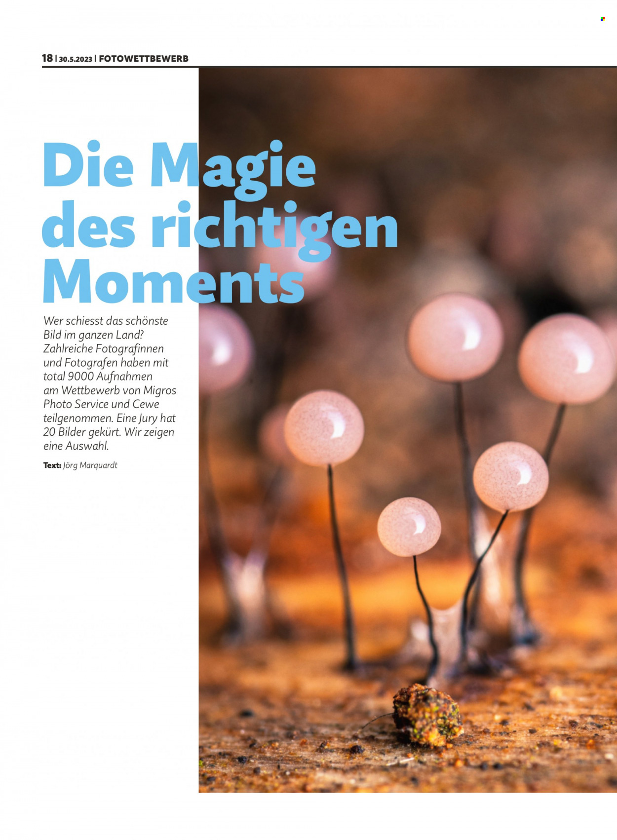 Prospekt Migros - 30.5.2023 - 5.6.2023. Seite 18