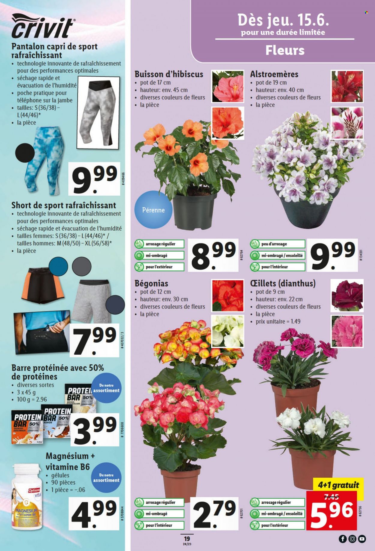 Catalogue Lidl - 15.6.2023 - 21.6.2023. Page 19