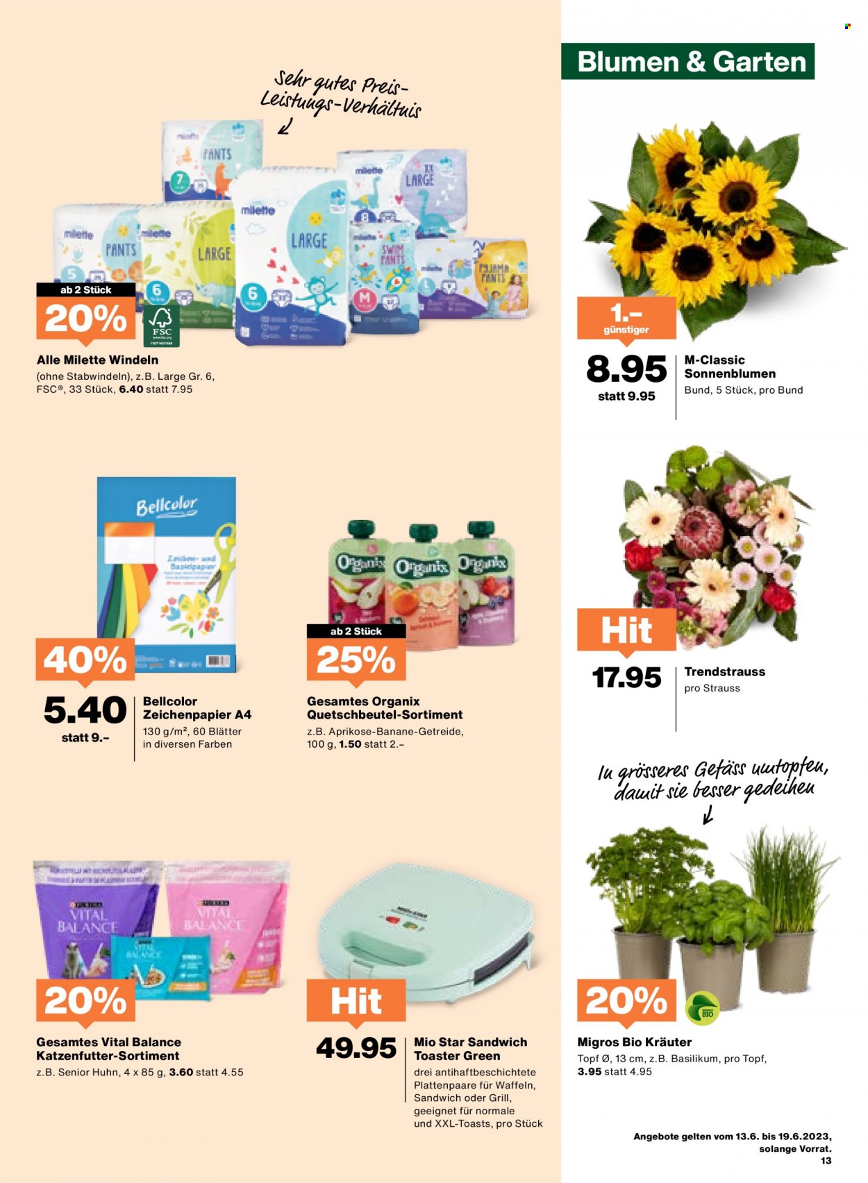 Volantino Migros - 13.6.2023 - 19.6.2023. Pagina 13