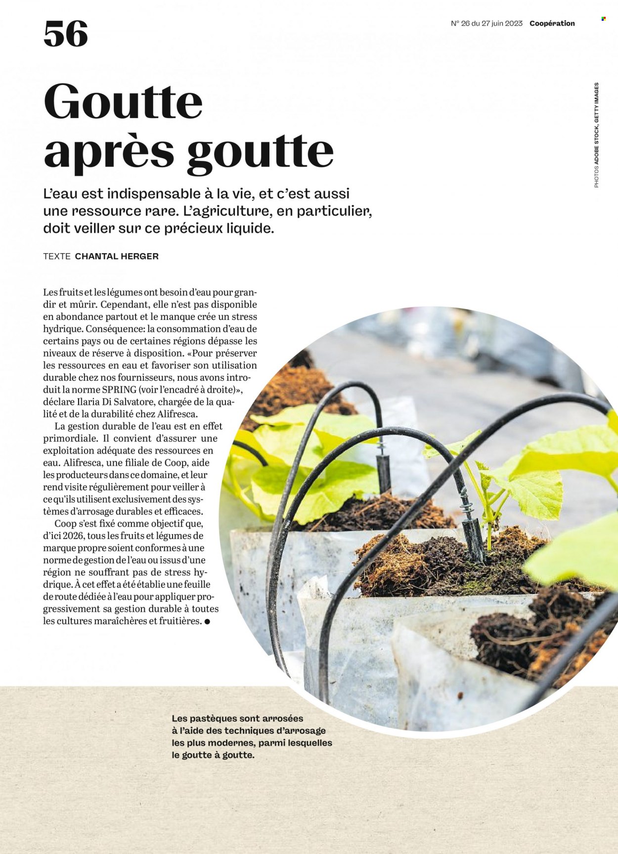 Volantino Coop - 27.6.2023 - 3.7.2023. Pagina 56